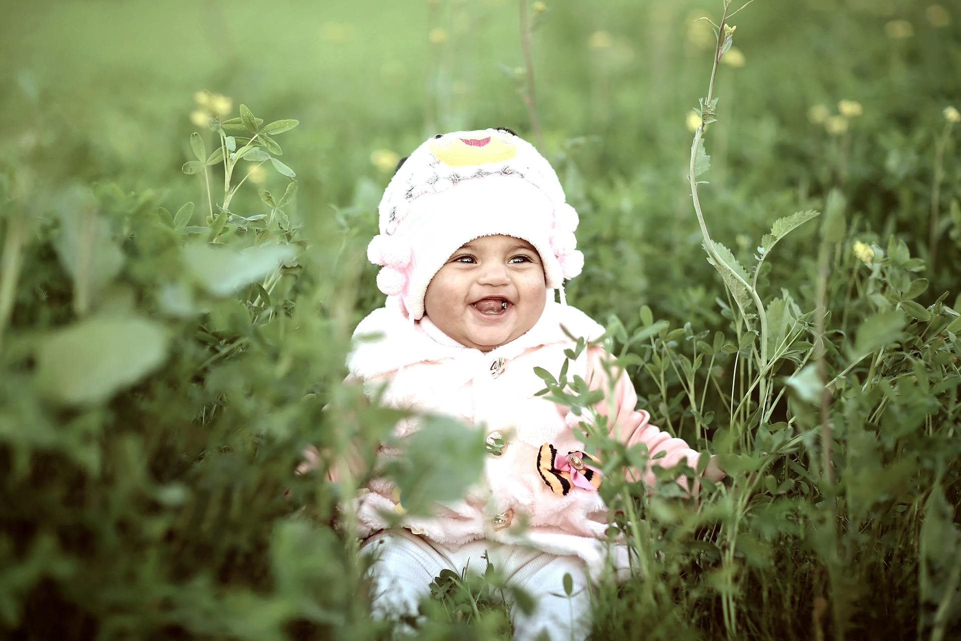 Pexels-Rohanmuzafar-803277