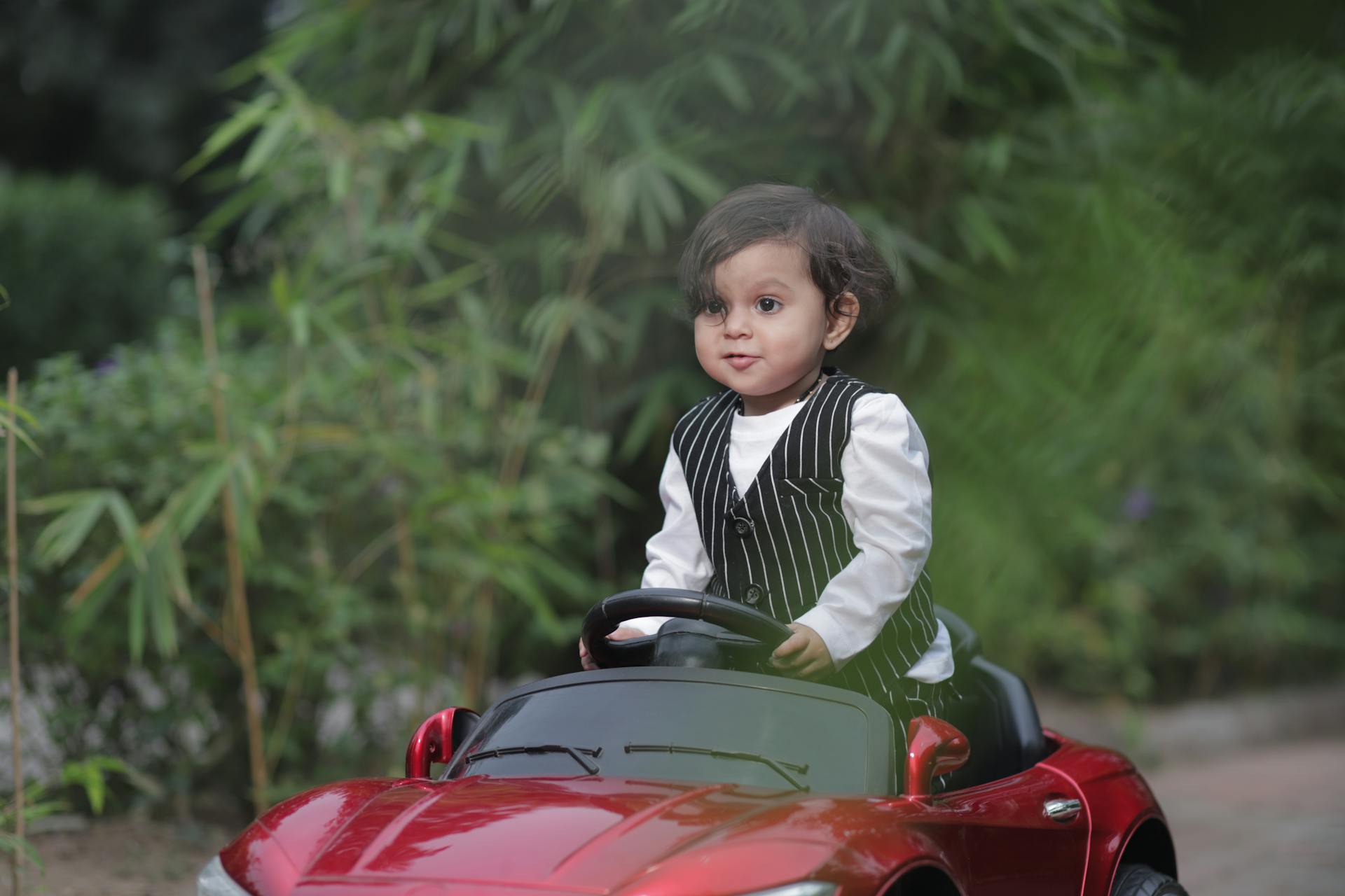 Pexels-Padsala-Umesh-480803821-25931931