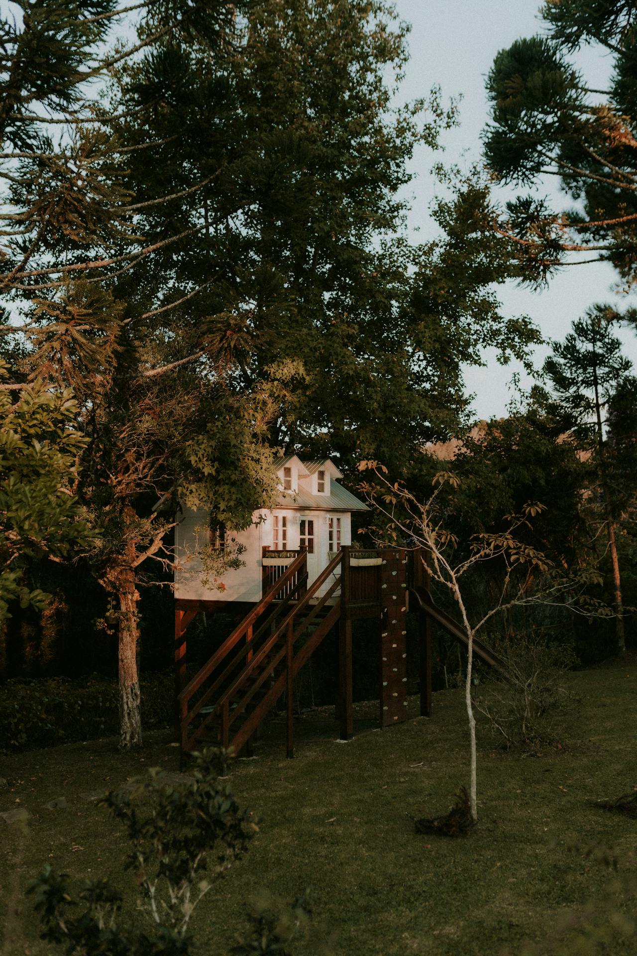 Pexels-Alexander-Mass-748453803-26370548