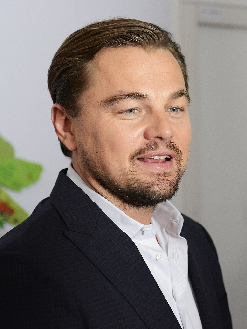 1024Px-Leonardo Di Caprio (23531475691) (Cropped)