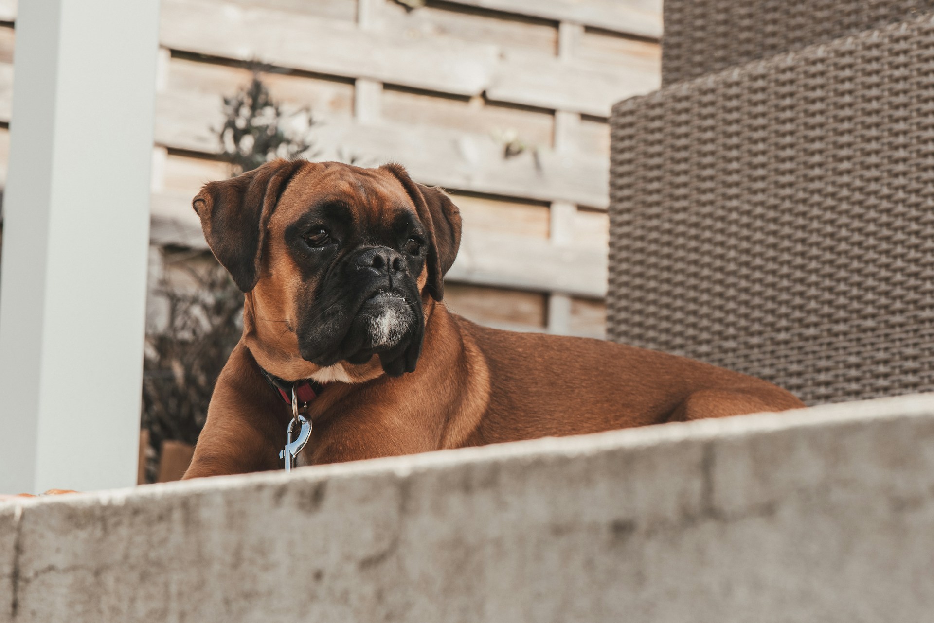 Loriane-Magnenat-Vcnfma9Z468-Unsplash