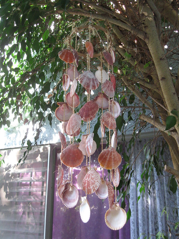 19966010698 0Dc5146E65 C