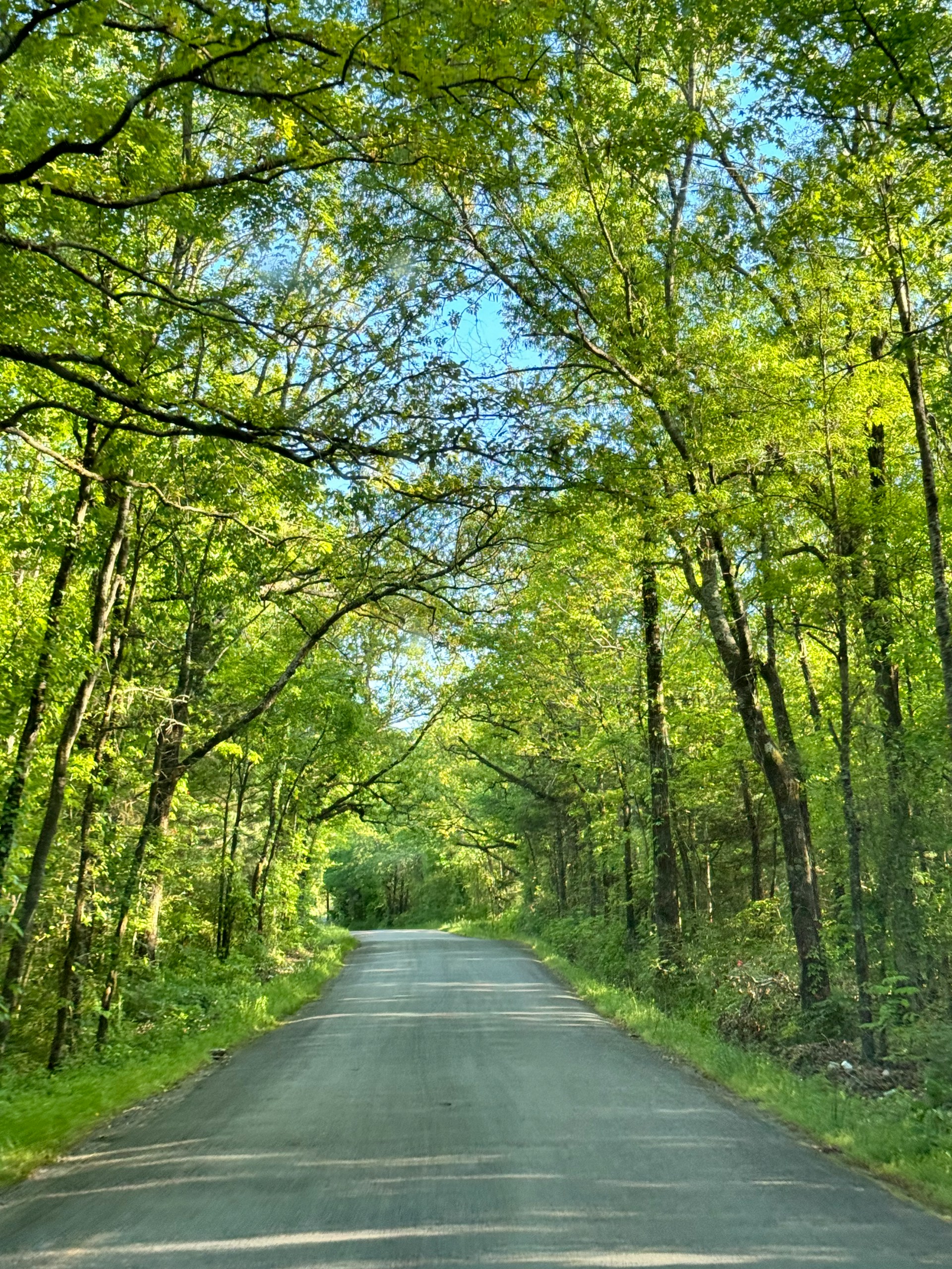 Jessica-Garner-7Ih96Eax7P8-Unsplash