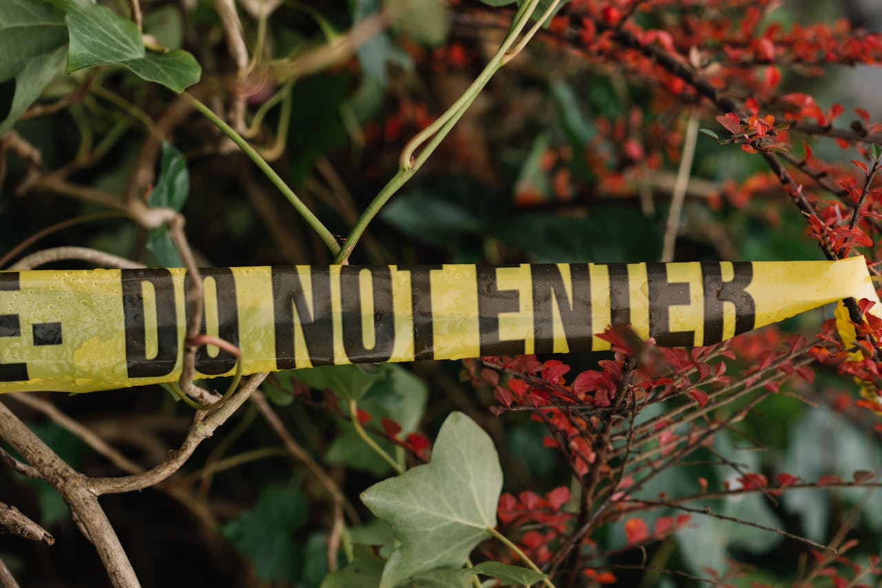 Pexels-Ellie-Burgin-1661546-3283449