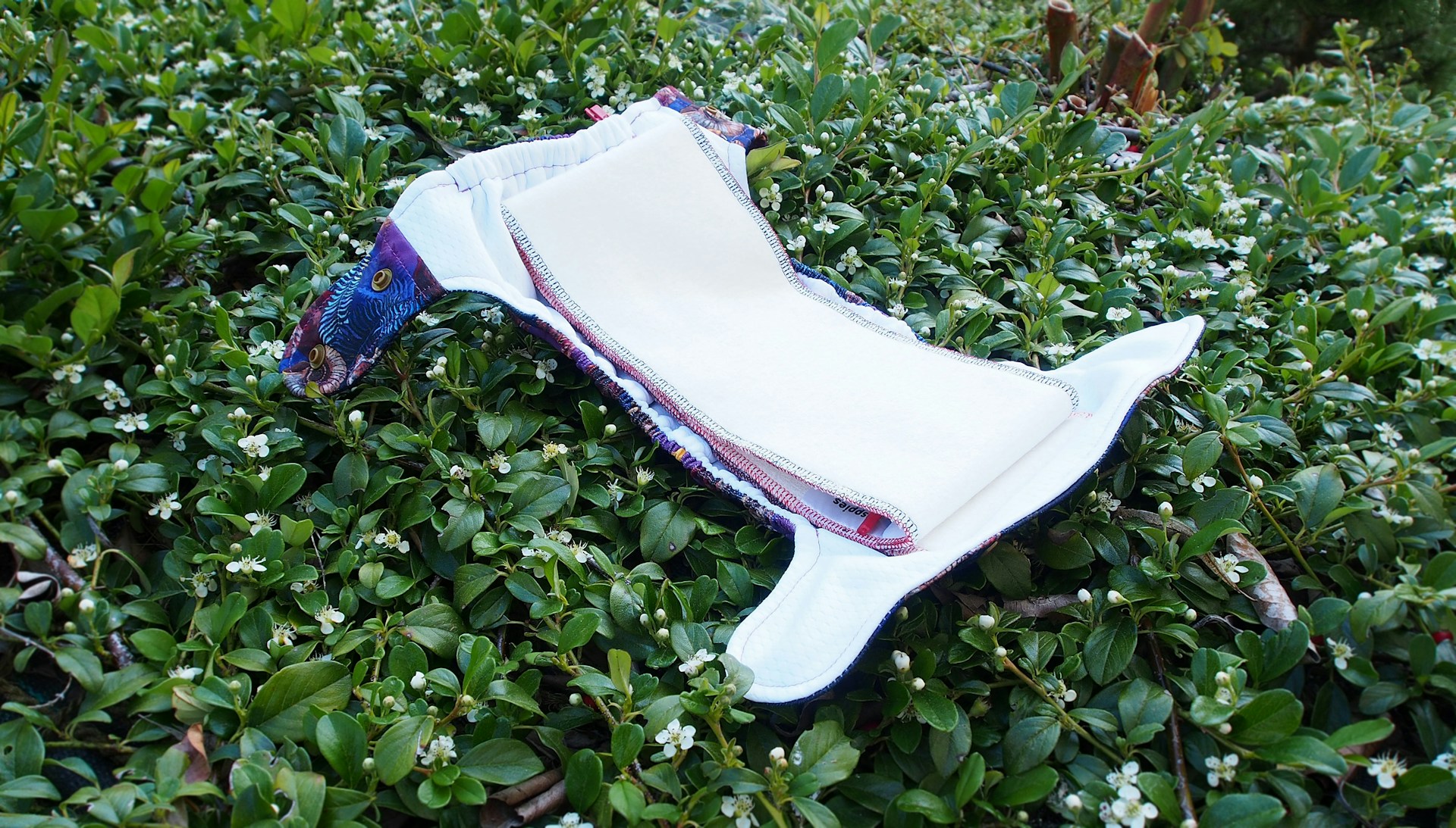 Sarka-Hykova-Ymqrqglodk0-Unsplash