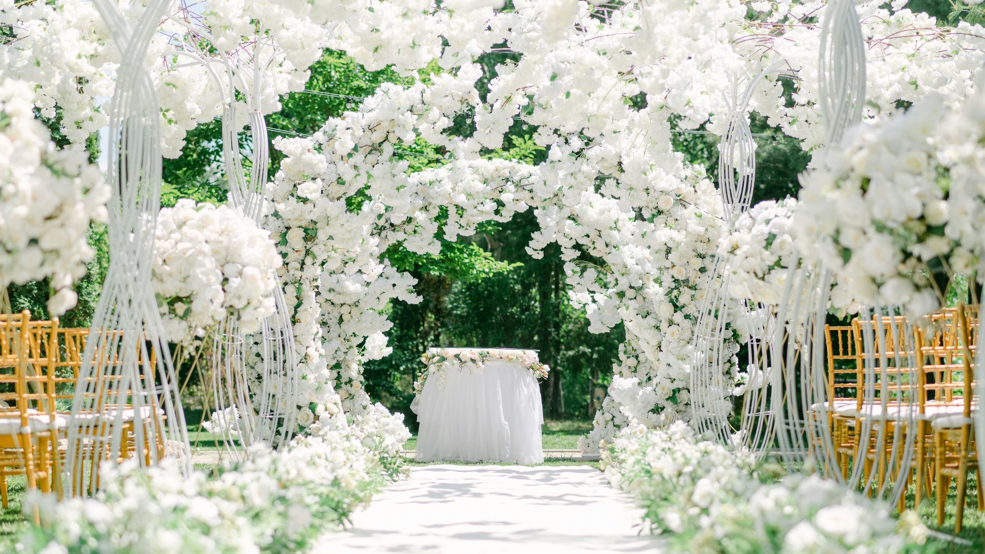a courtyard with white flowers