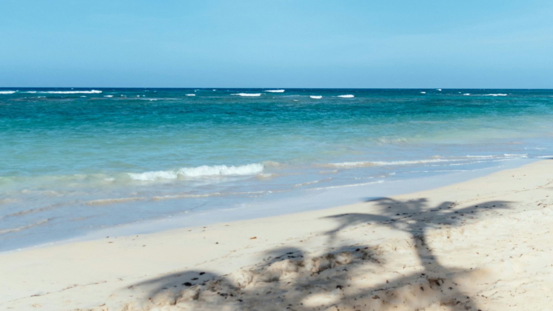 beach shore under blue sky during daytime