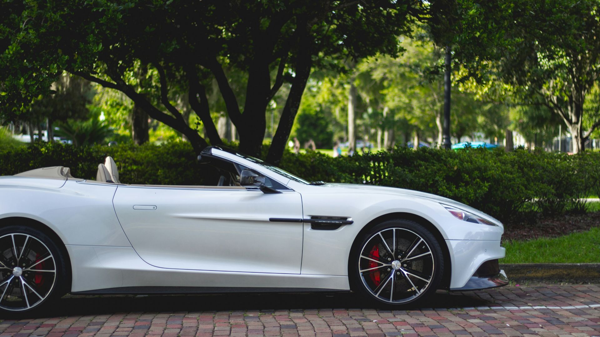 white Aston Martin convertible parked near trees