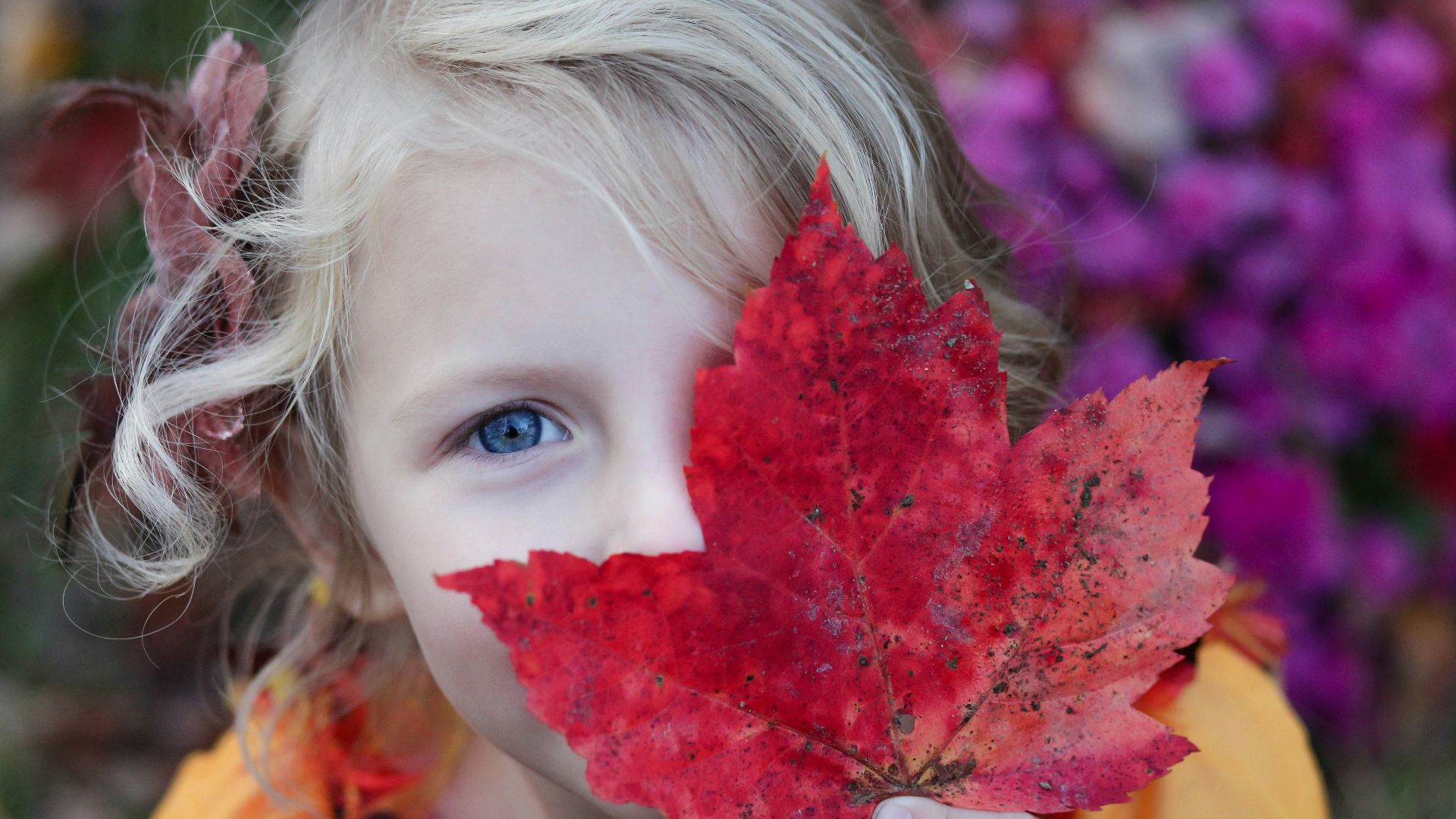 girl holding red maple leaf