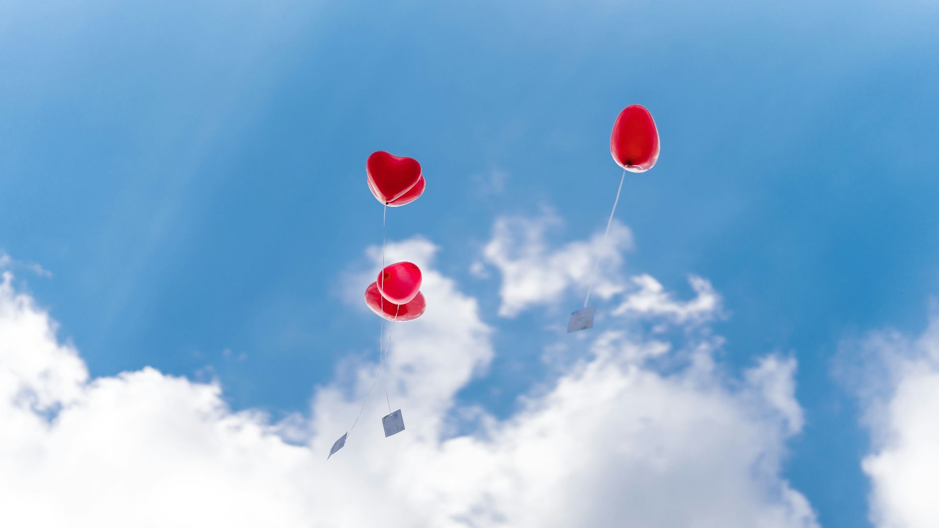 a group of hot air balloons in the sky