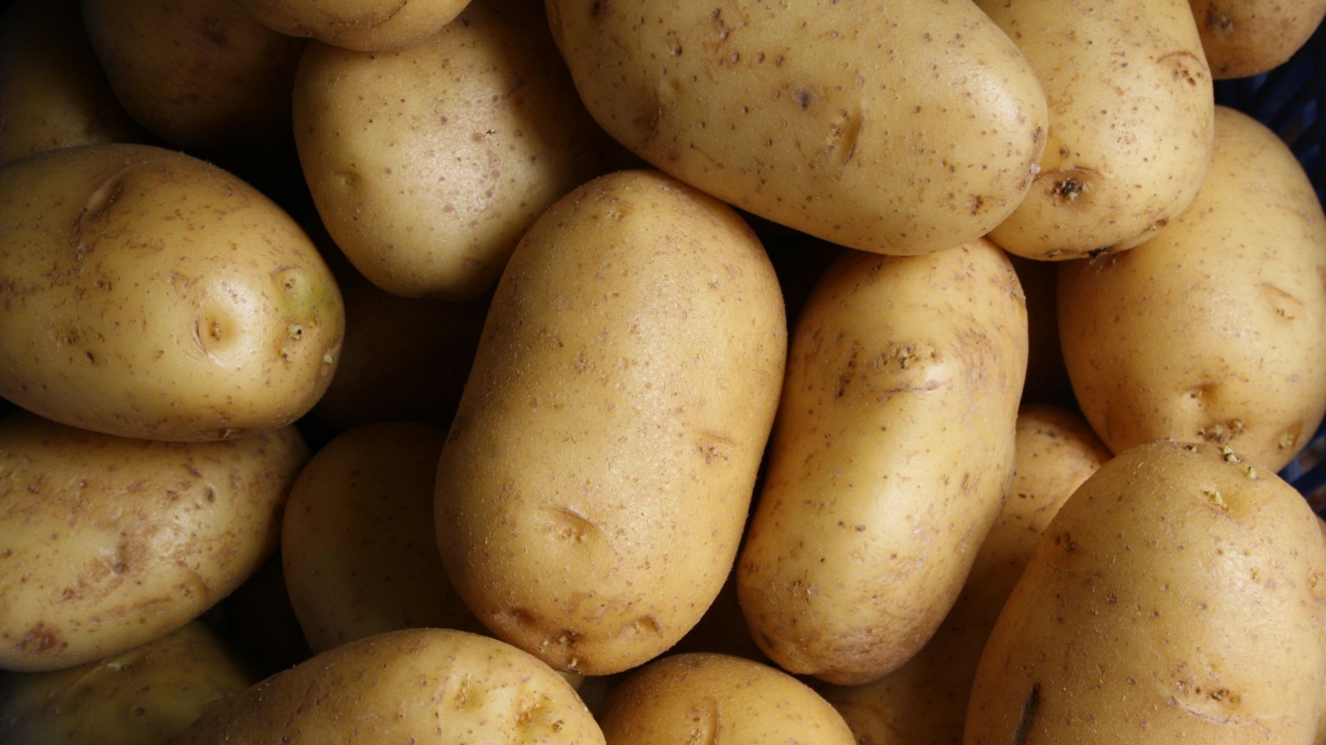 brown potato lot