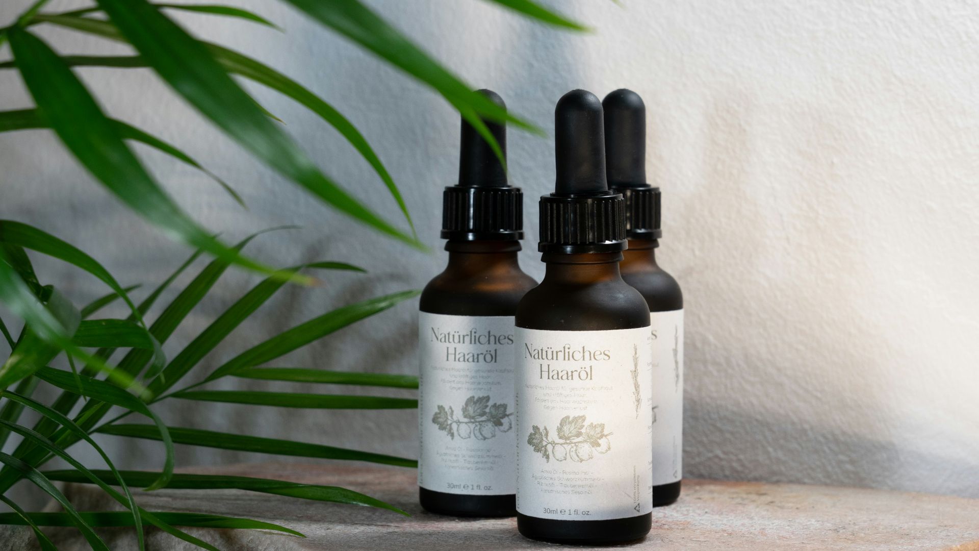 a group of bottles next to a plant