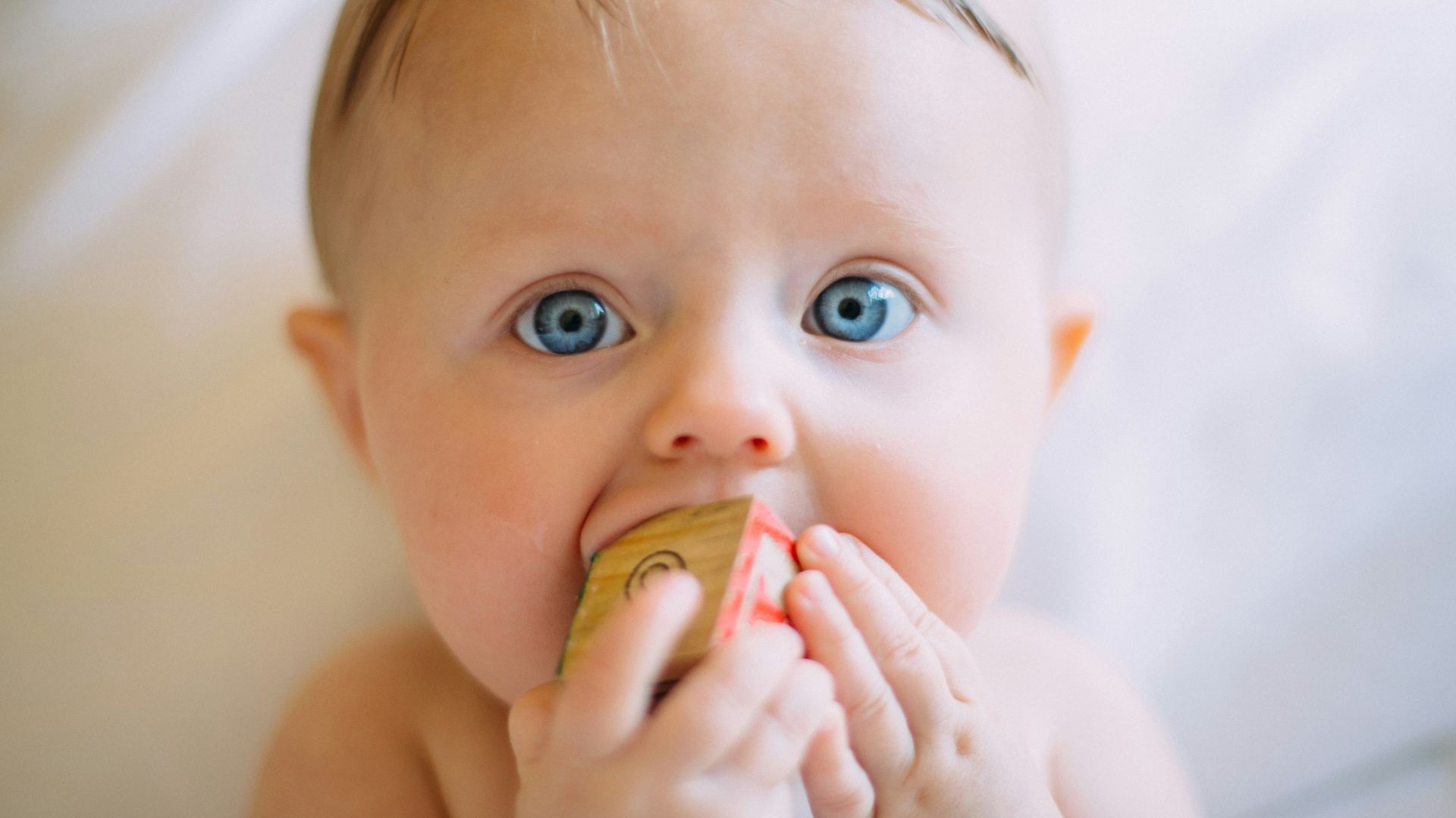 selective focus photography of baby holding wooden cube