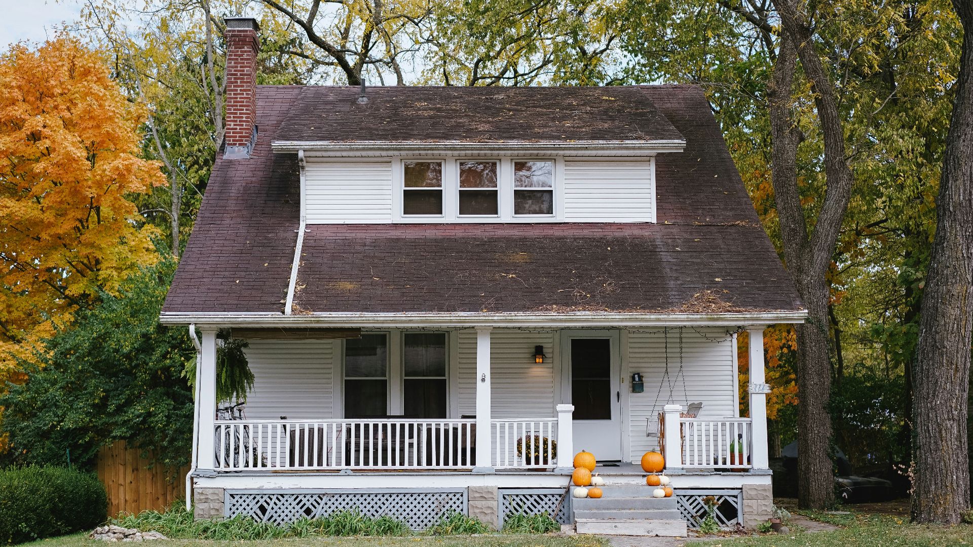 trees beside white house