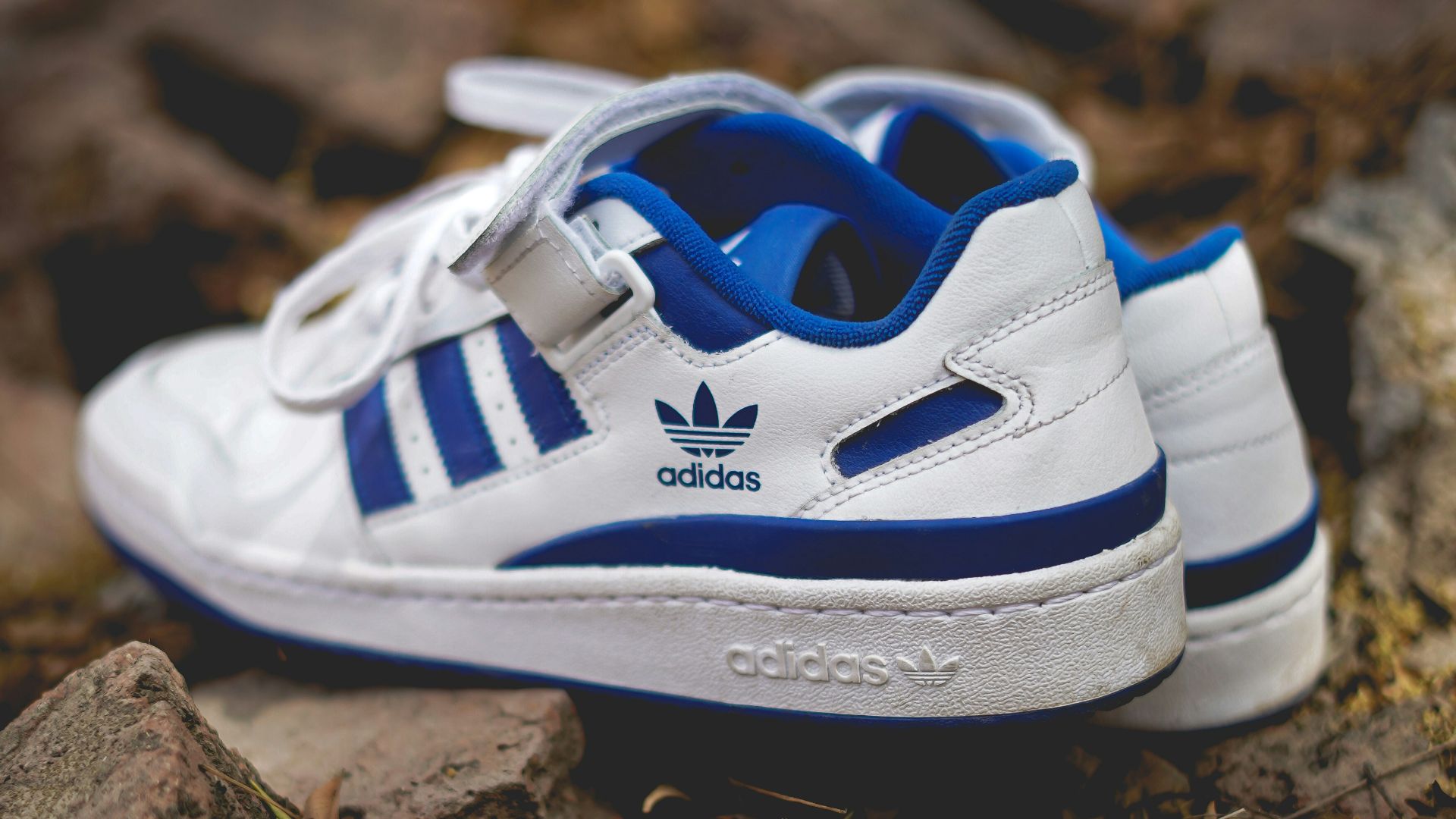 blue and white nike athletic shoe