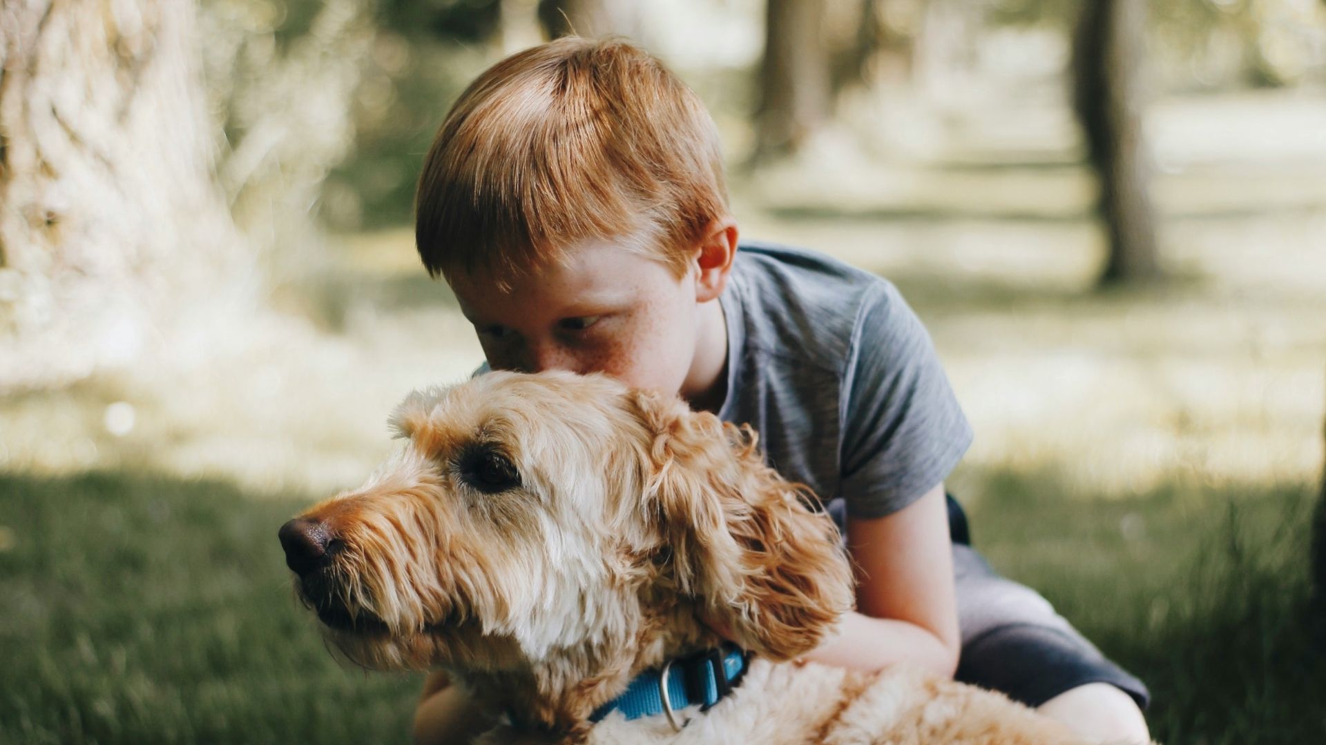 boy kissing dog laying on grass