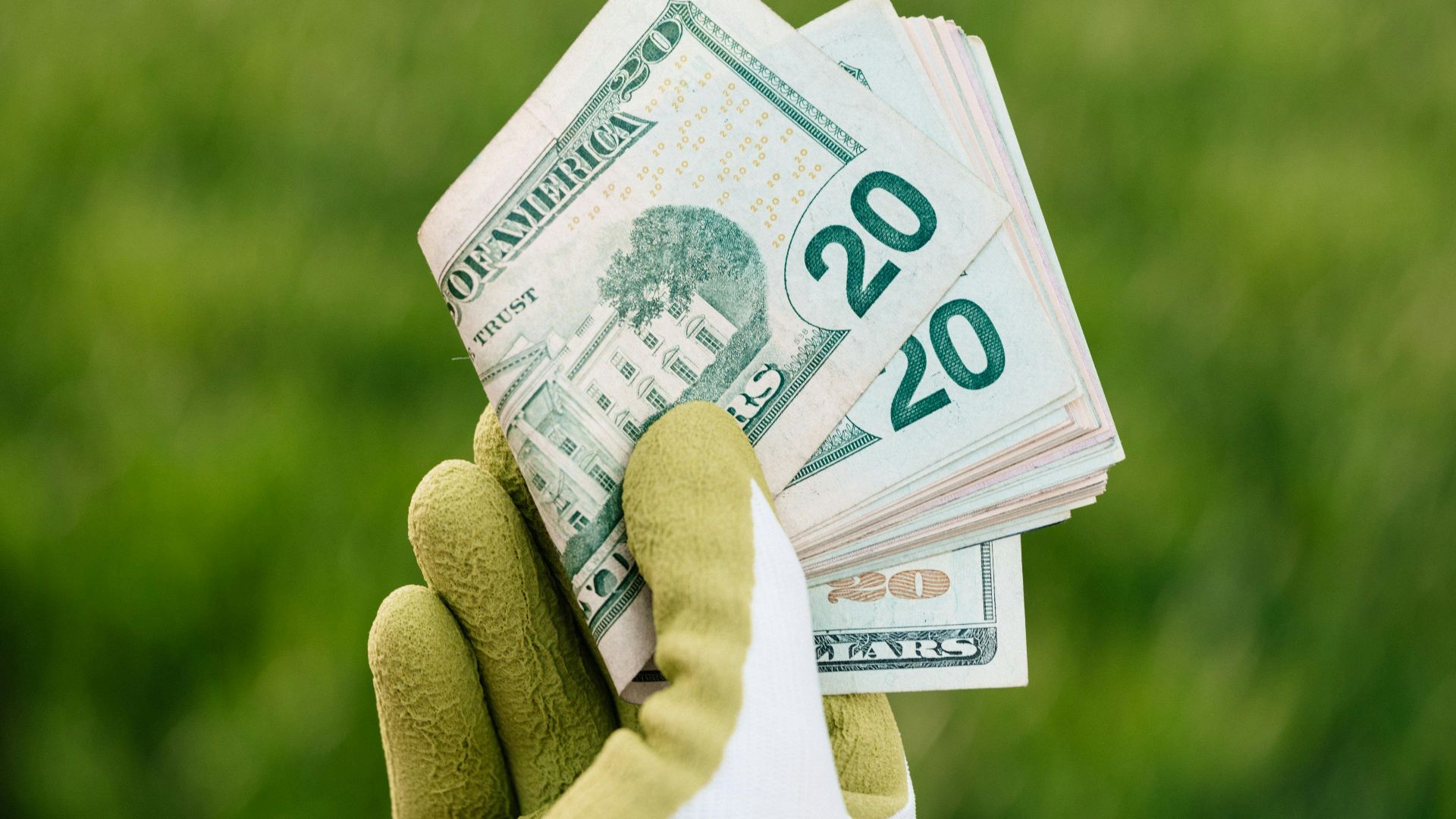 Photo By: Kaboompics.com