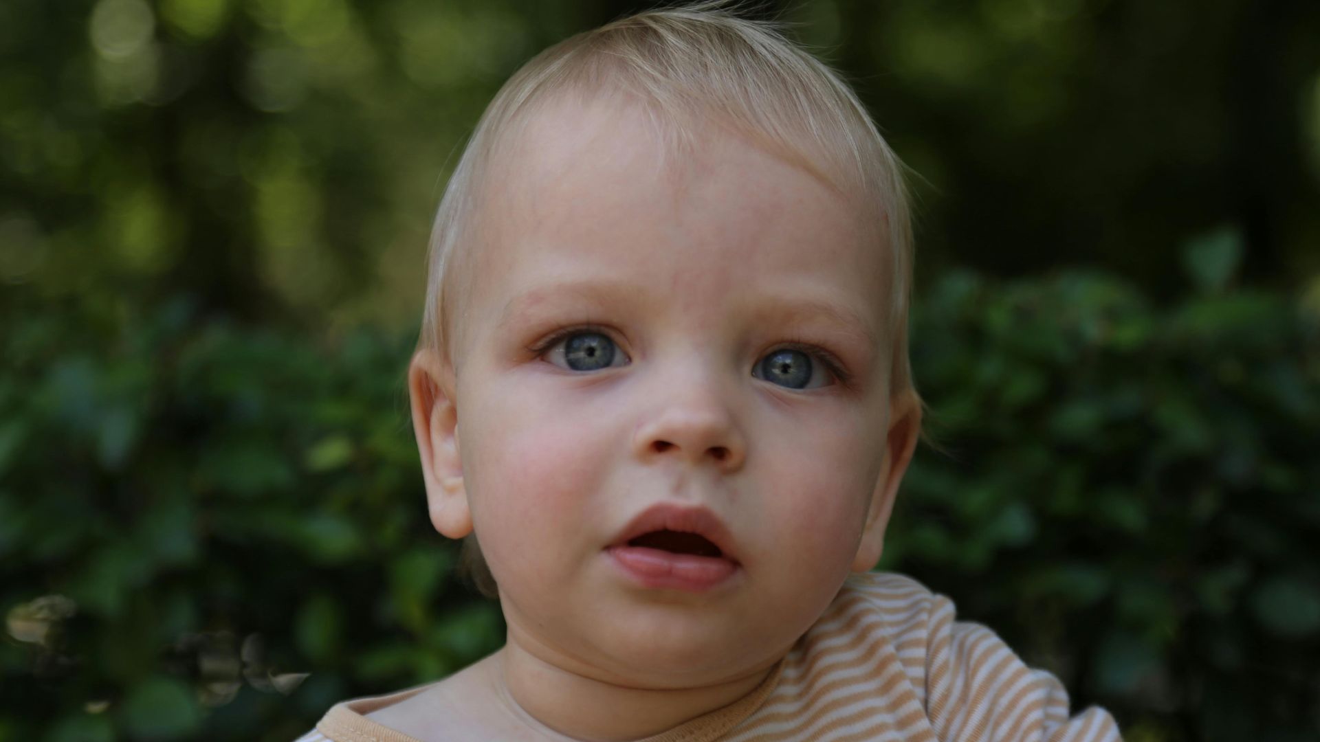 svetlana photographer