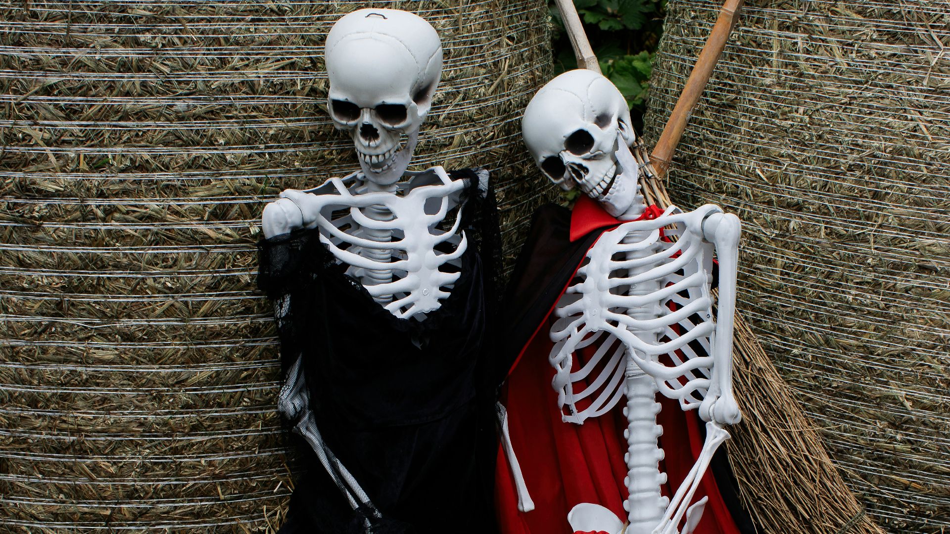 A couple of skeletons sitting on top of a pile of hay