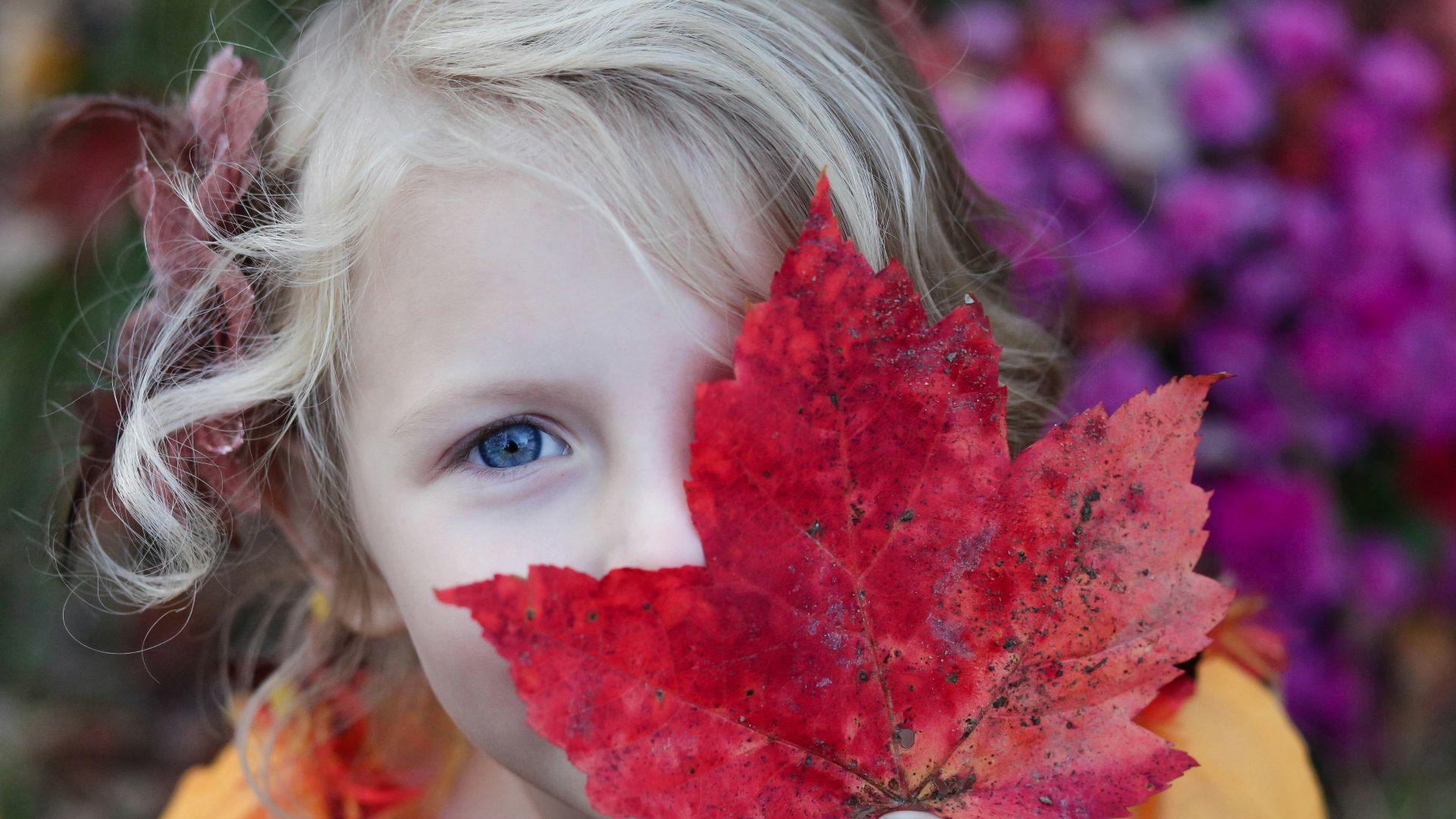 girl holding red maple leaf