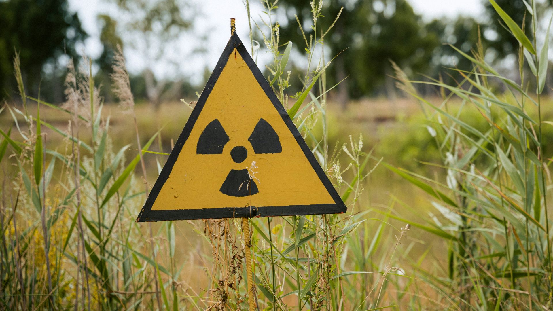 yellow and black road sign