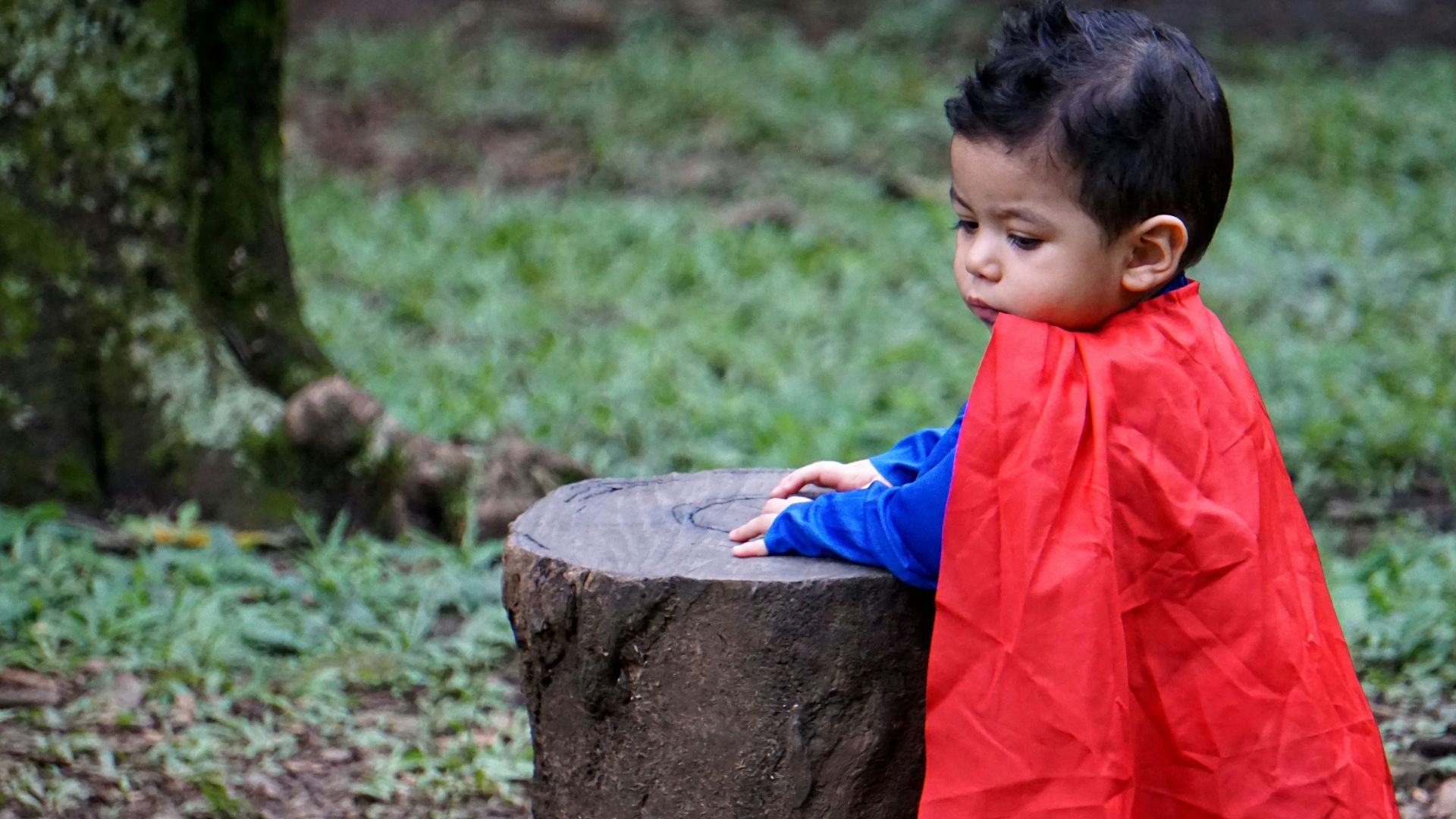 shallow focus photo of boy wearing red cape