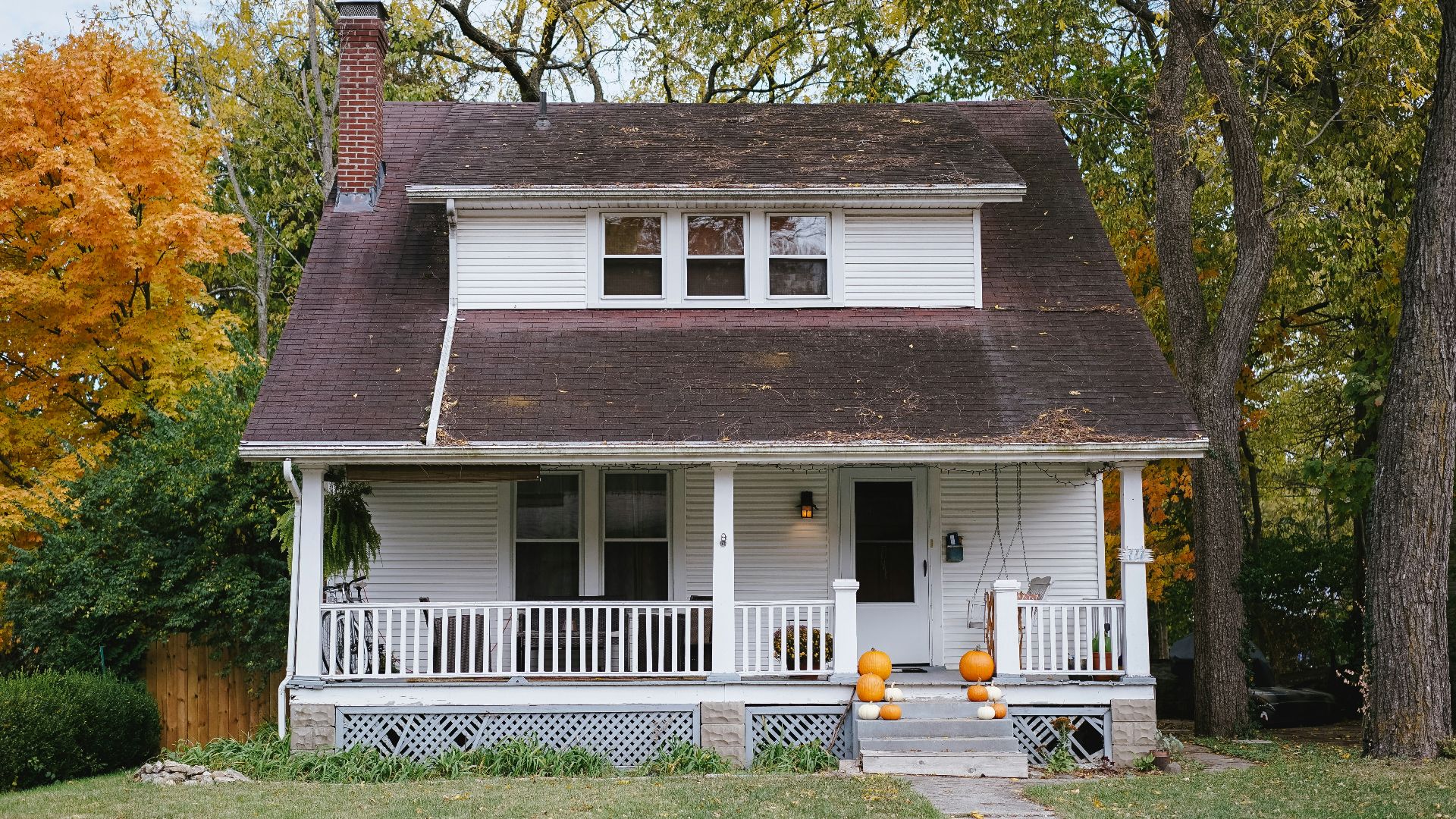 trees beside white house