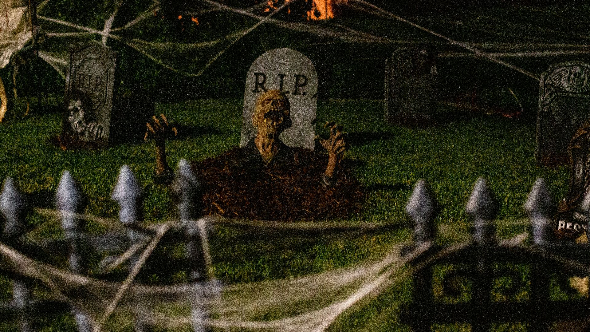 people sitting on green grass field during daytime