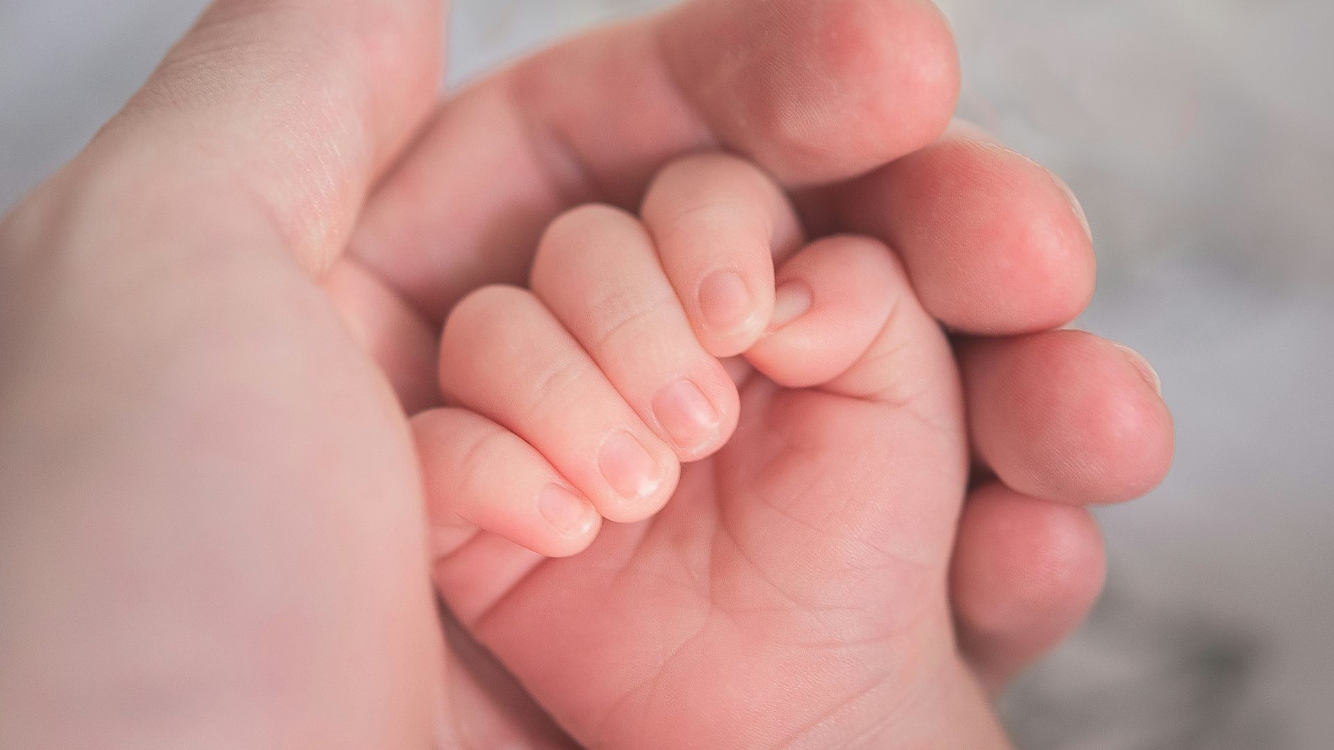 person holding baby's hand in close up photography