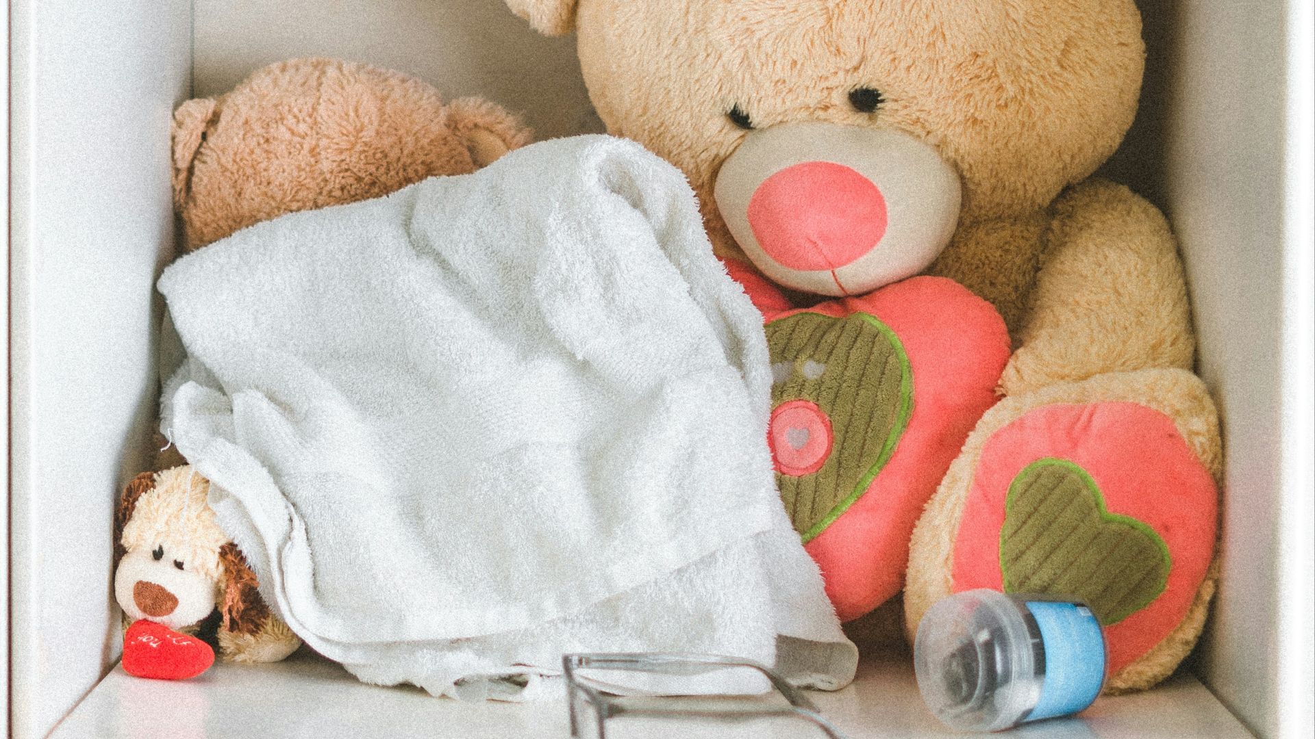 brown teddy bear inside cabinet