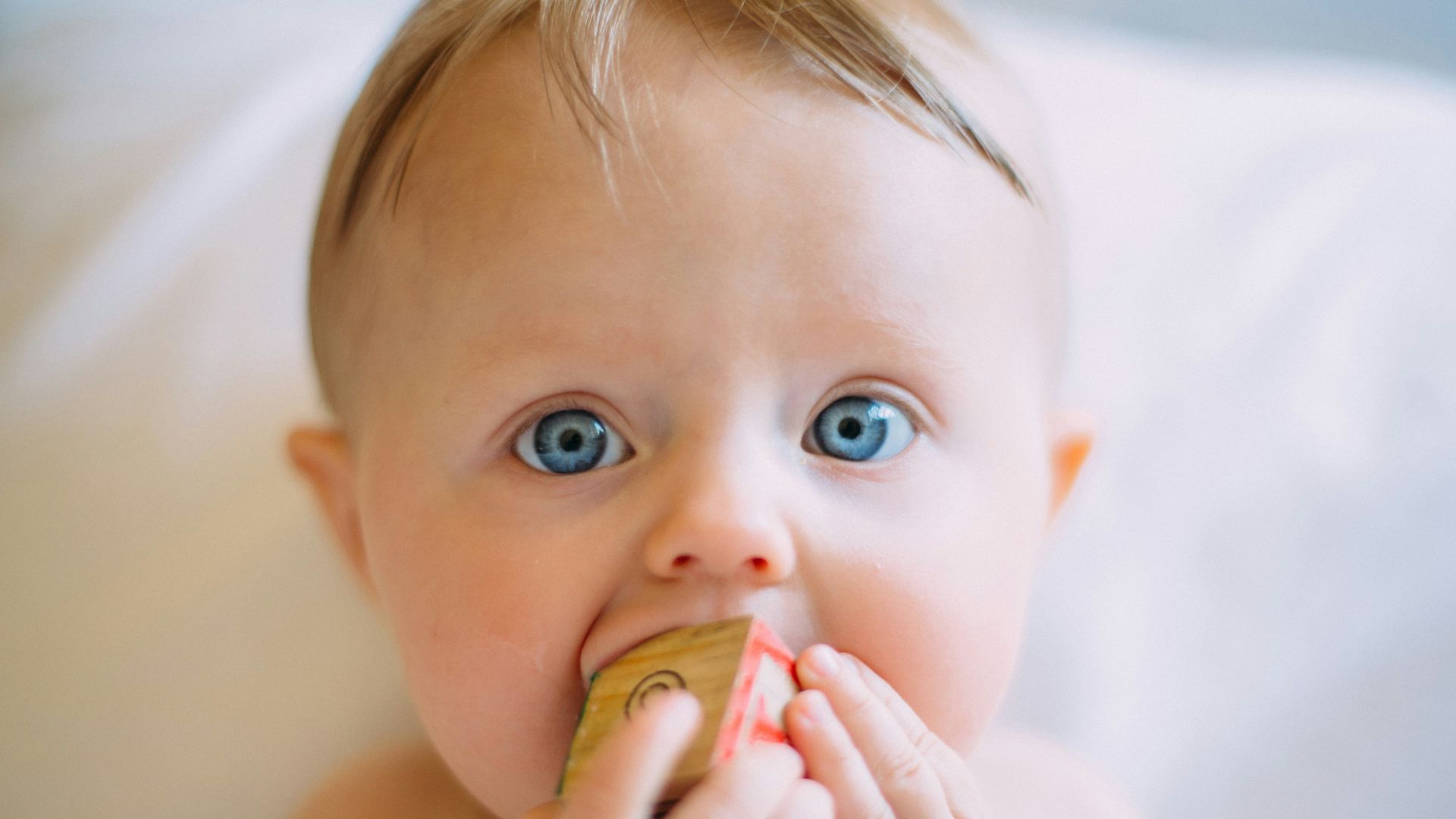 selective focus photography of baby holding wooden cube