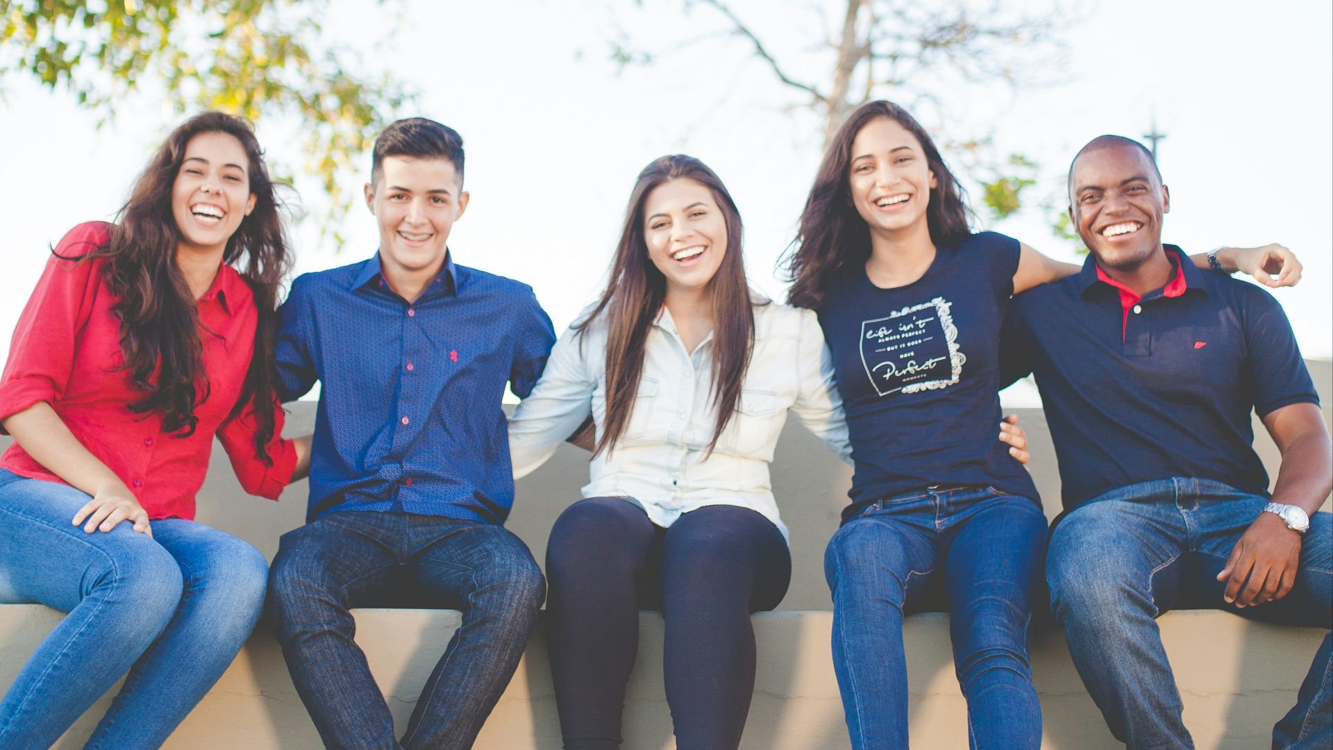 group of people sitting on bench near trees duting daytime