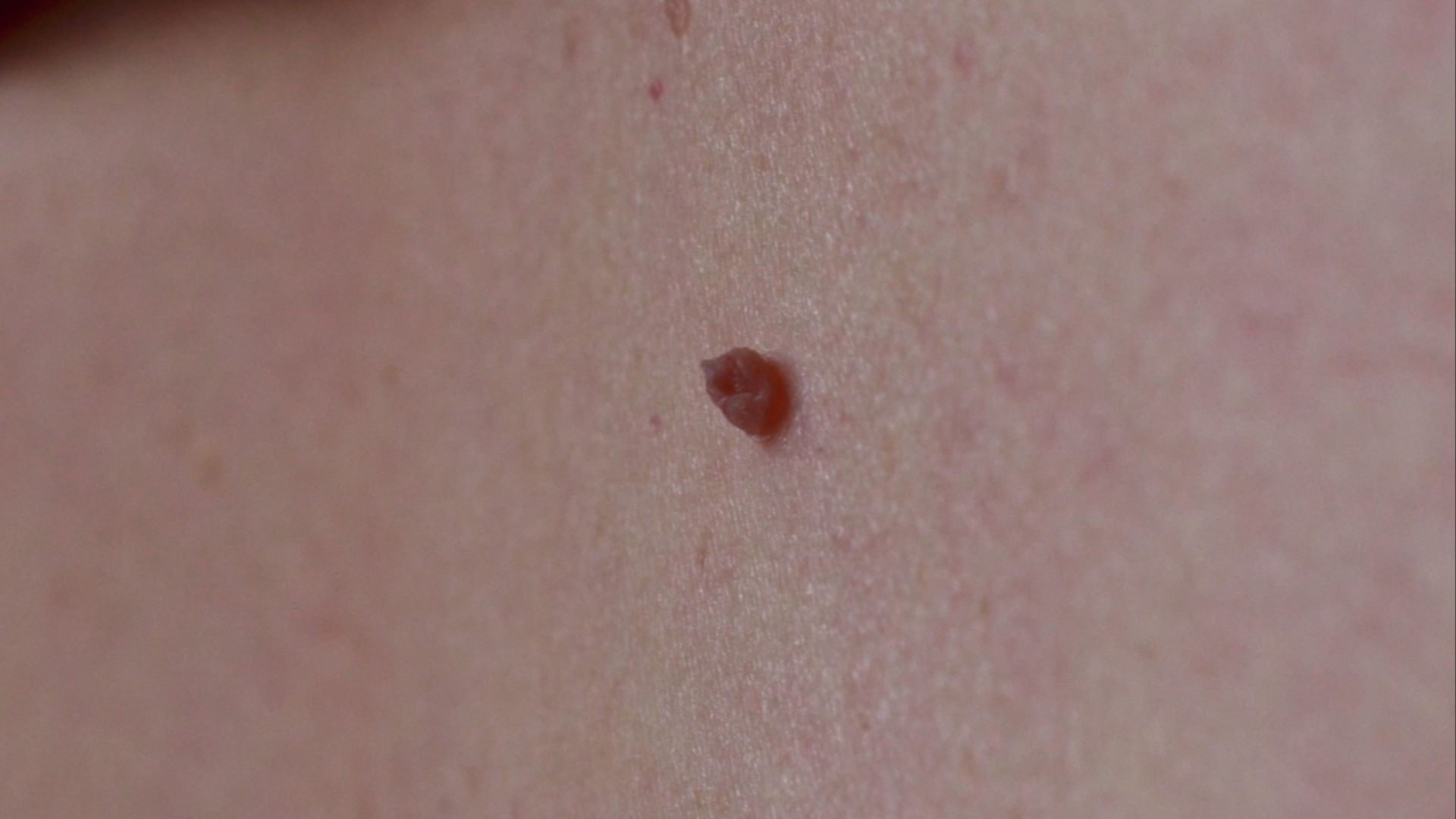 File:Hudflik Wikpedia.jpg