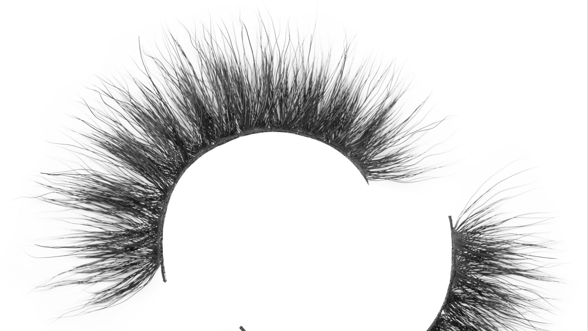 black and white round illustration