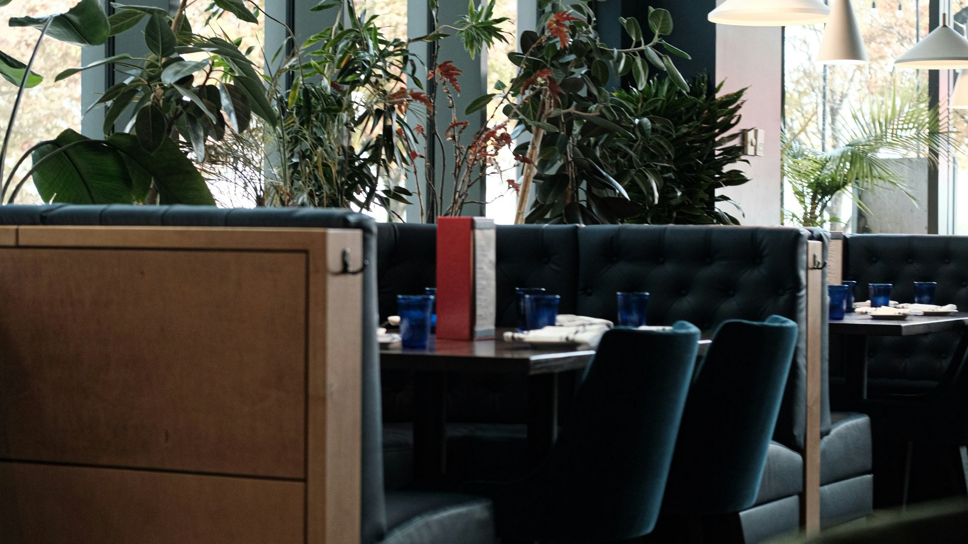 Restaurant booths with plants and modern lighting.