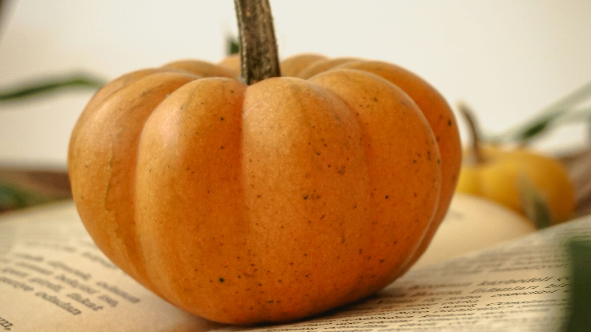 a pumpkin sitting on top of an open book