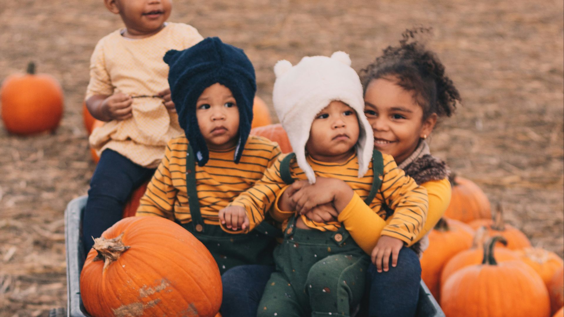 woman in black and white striped long sleeve shirt sitting on black plastic container with pumpkins