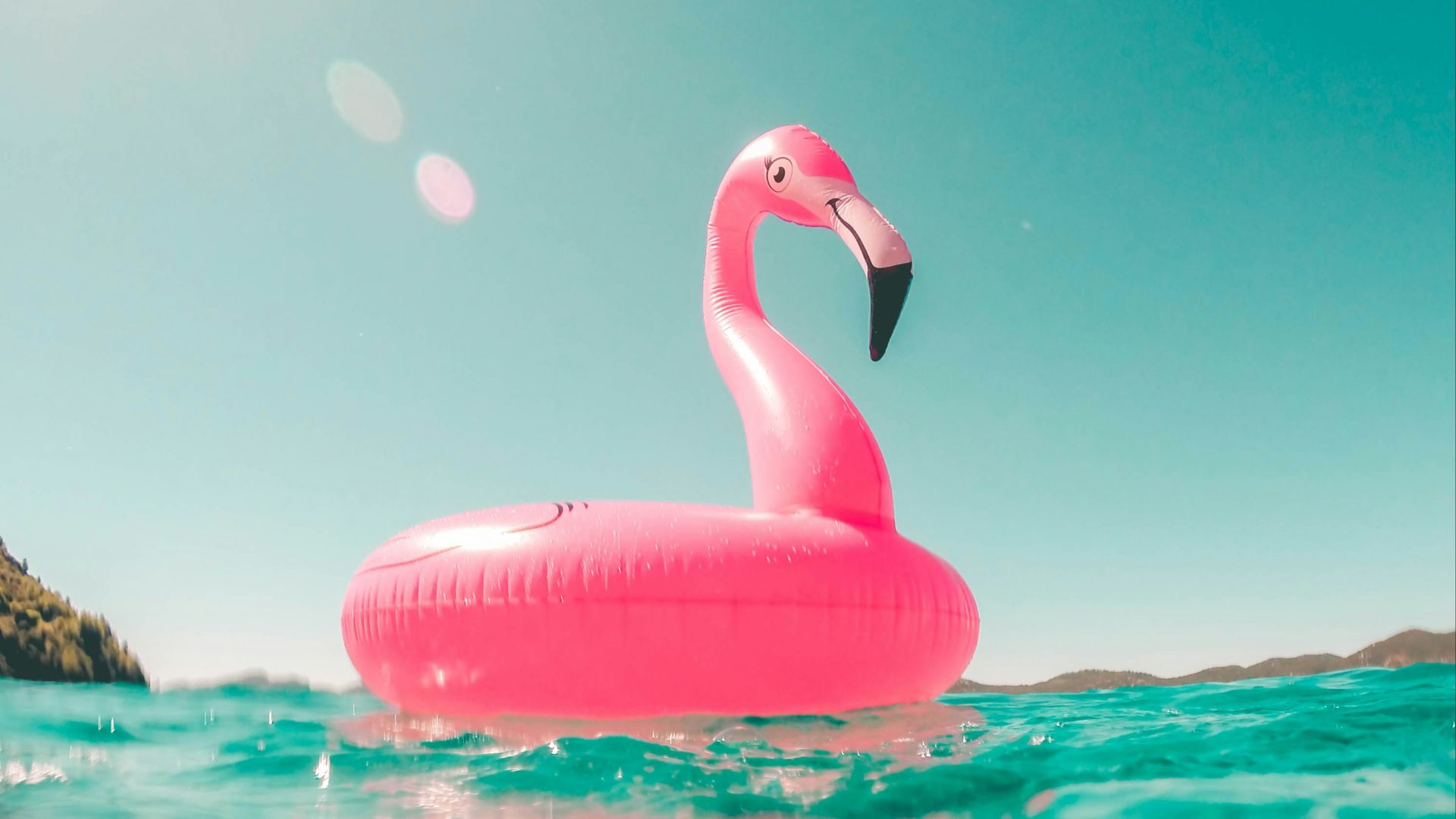 pink flamingo swim ring on body of water in summer