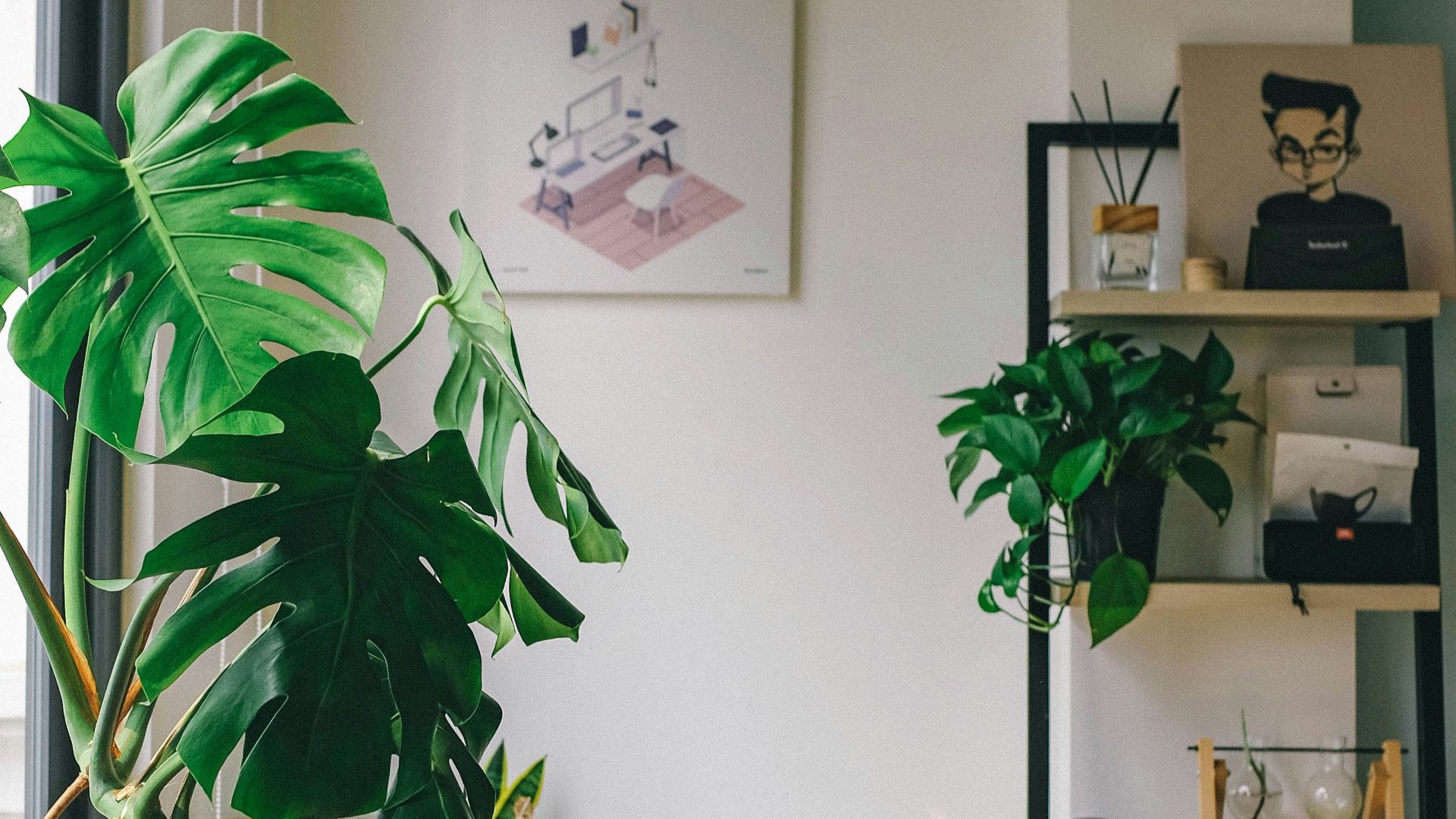 green potted plant on brown wooden table