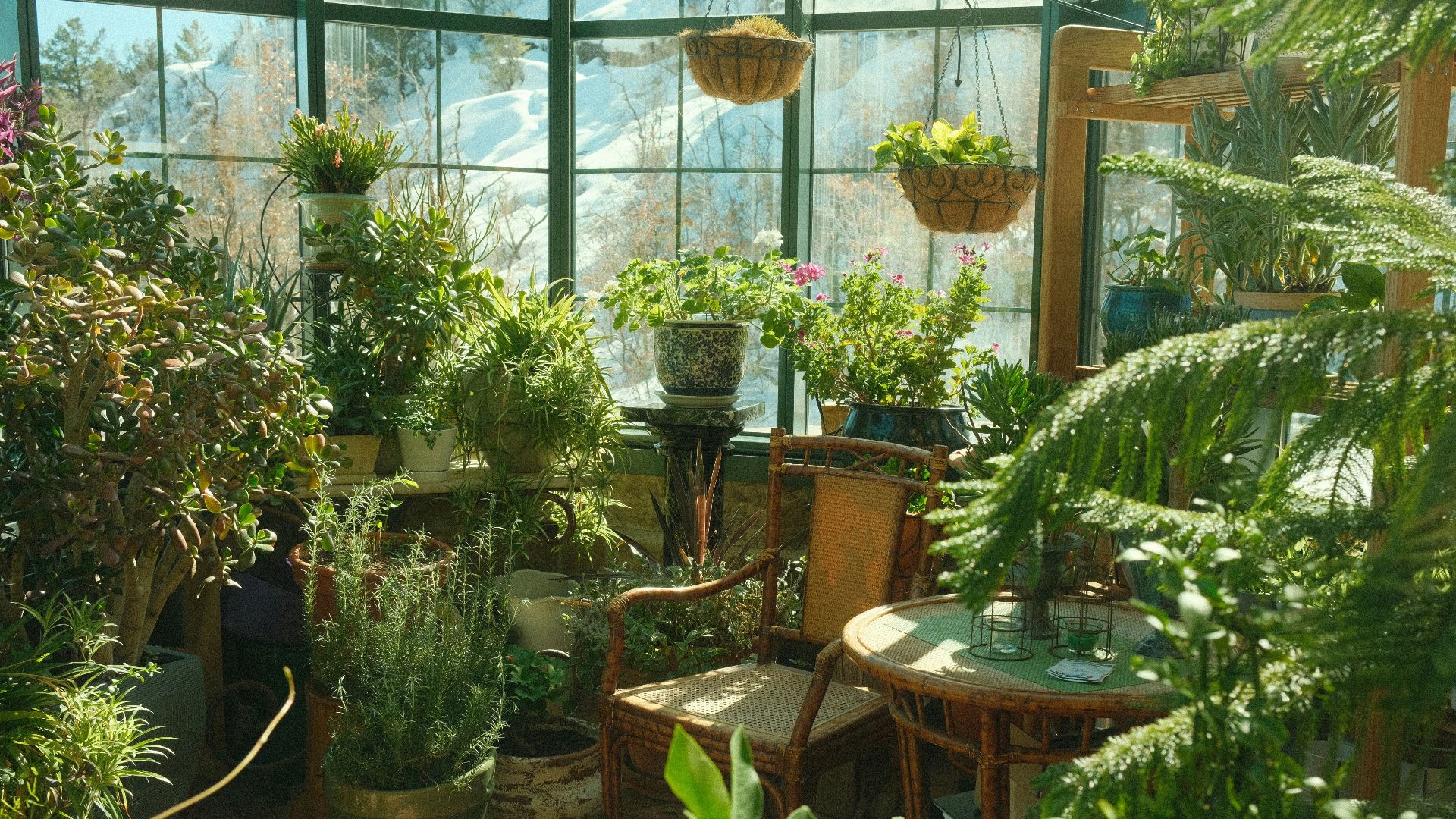 a room filled with lots of potted plants