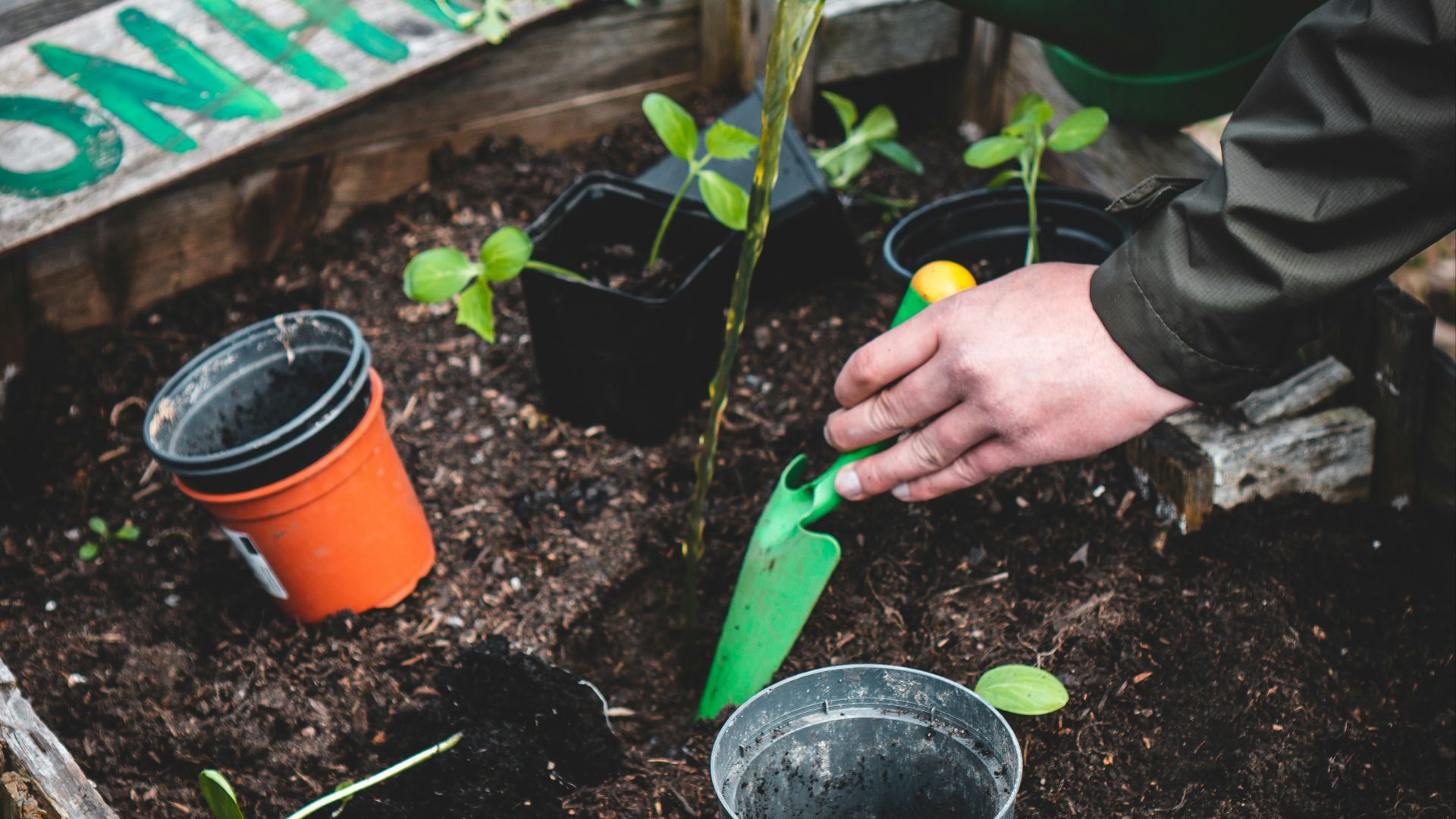person holding green plastic shovel