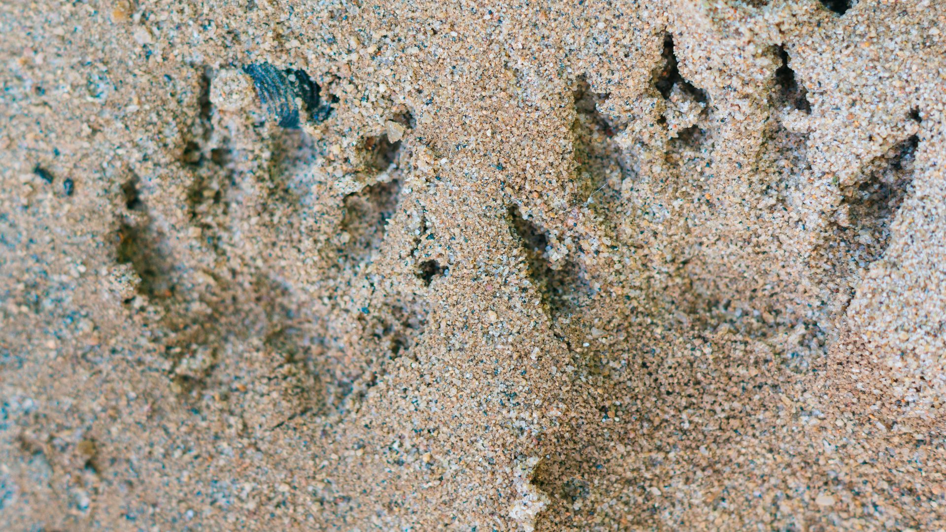 foot prints on brown sand