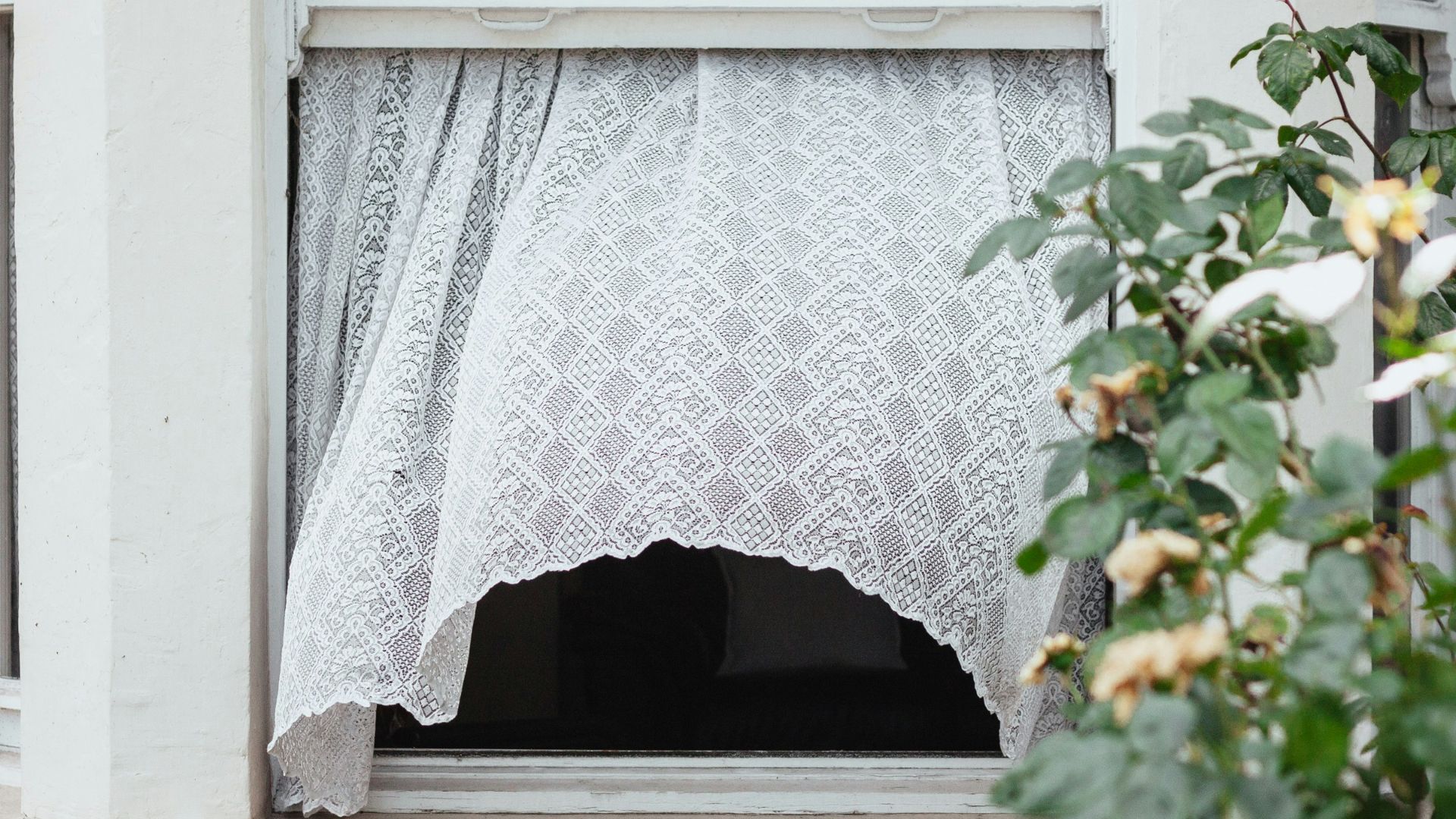 white sash window opened