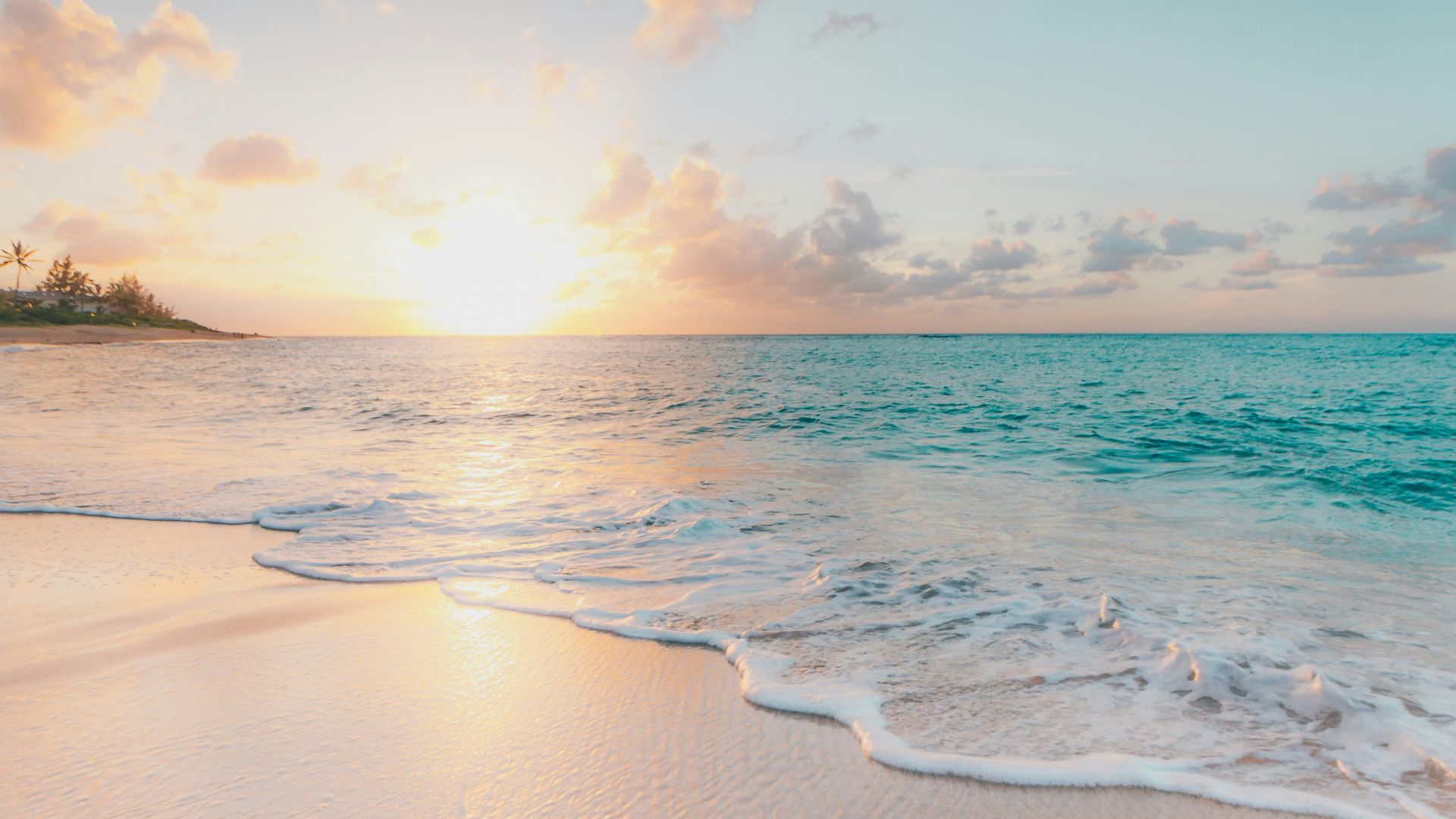 seashore during golden hour