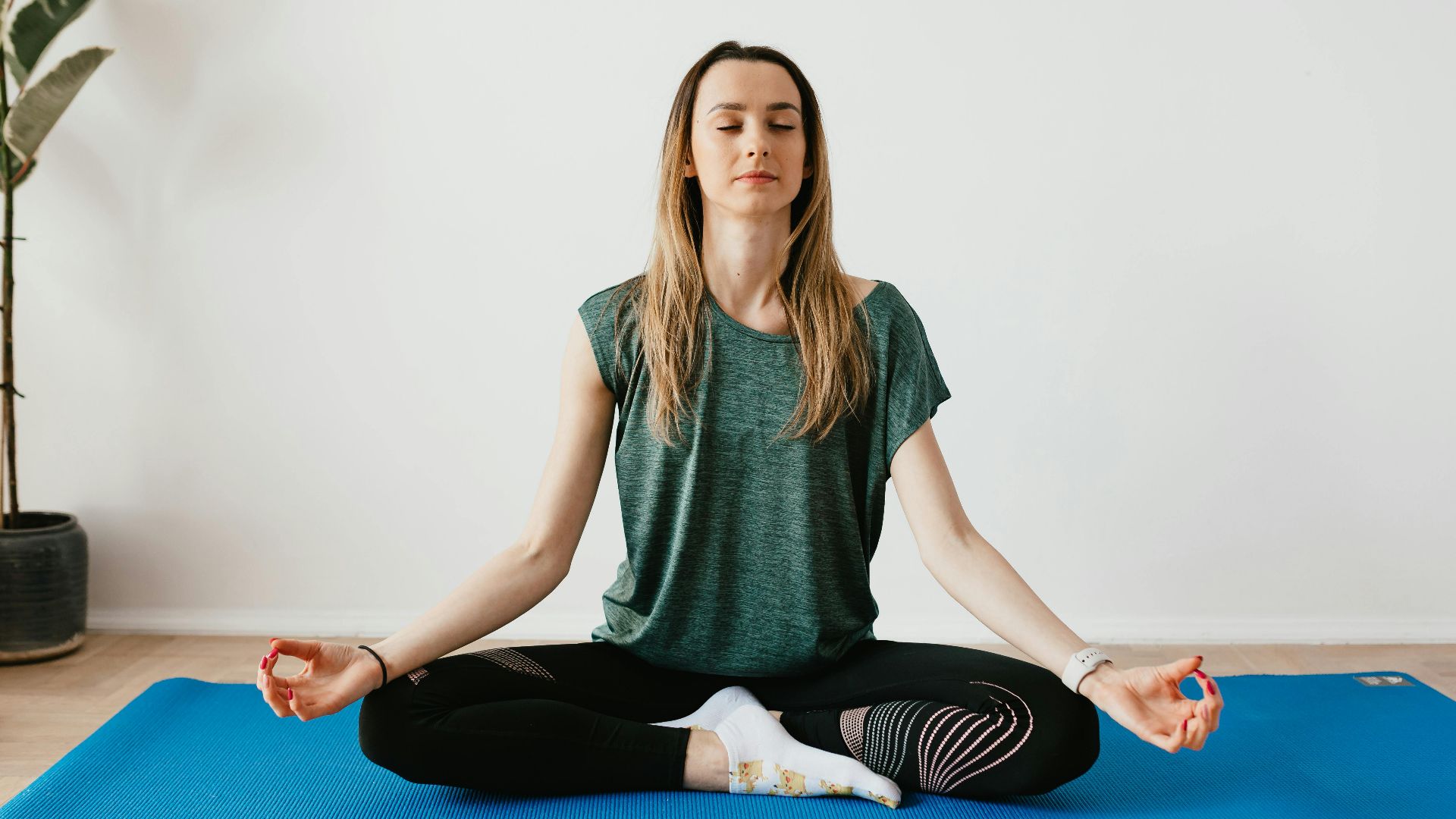 Photo By: Kaboompics.com