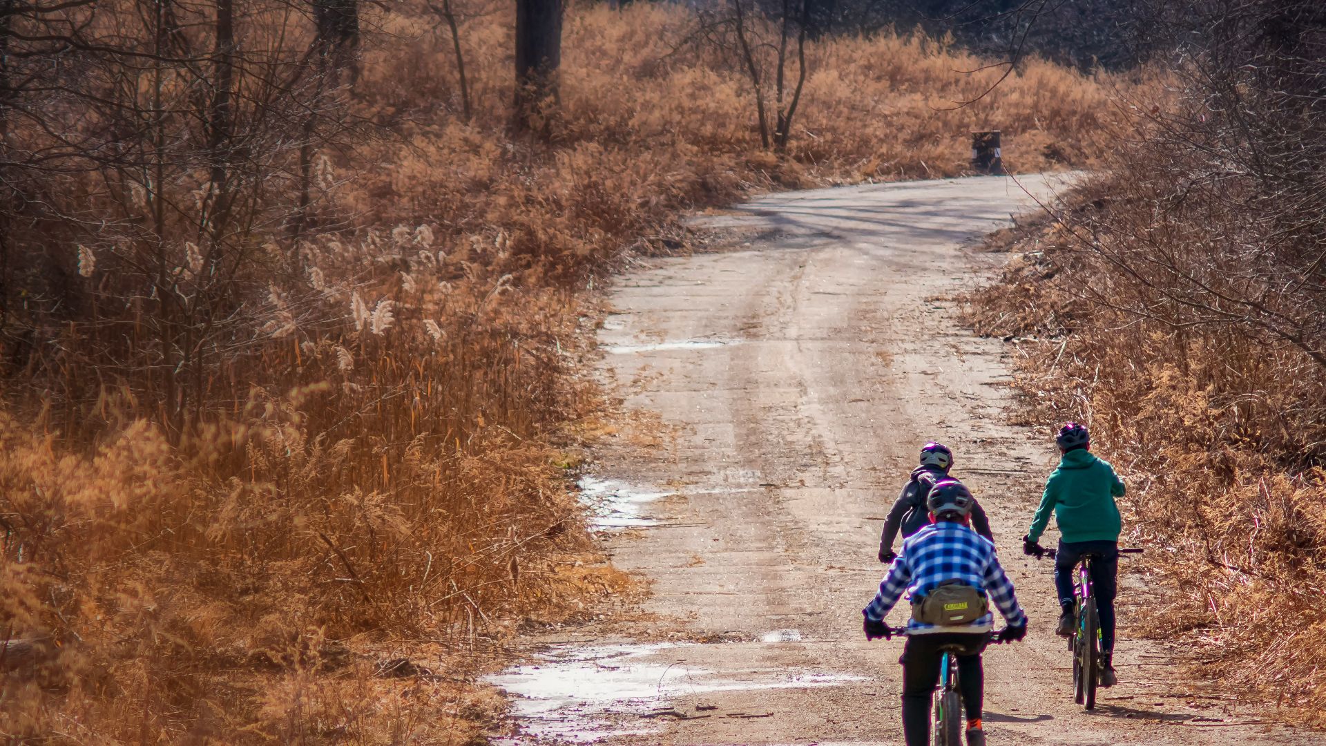 2 men riding bicycle on road during daytime