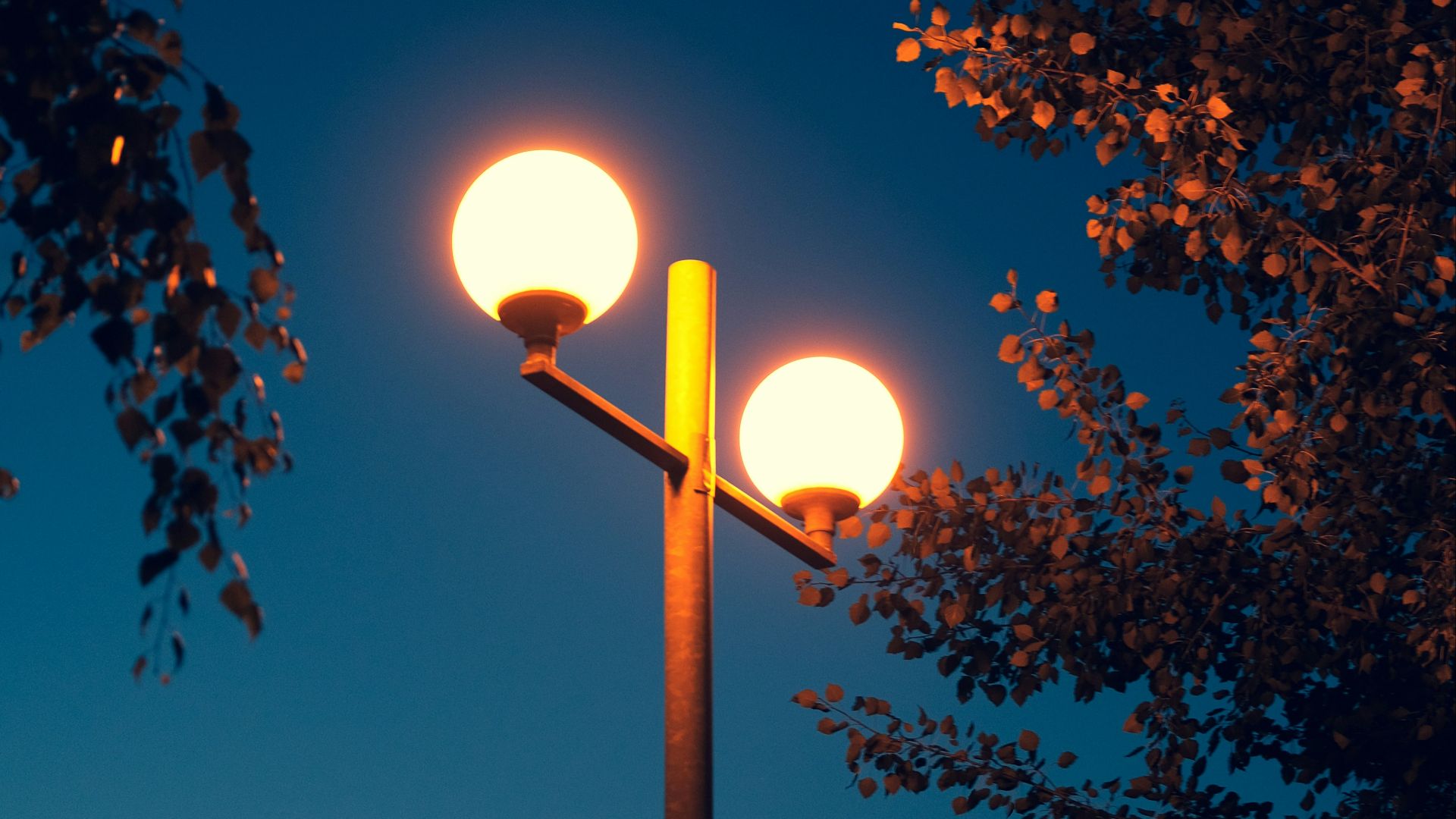 turned-on lamp post beside tree