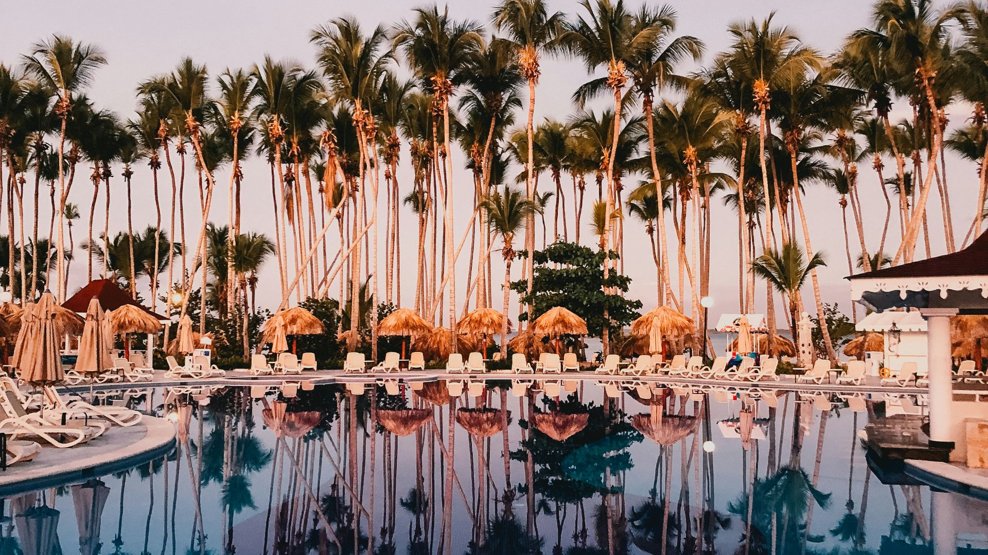 A swimming pool surrounded by palm trees in a resort