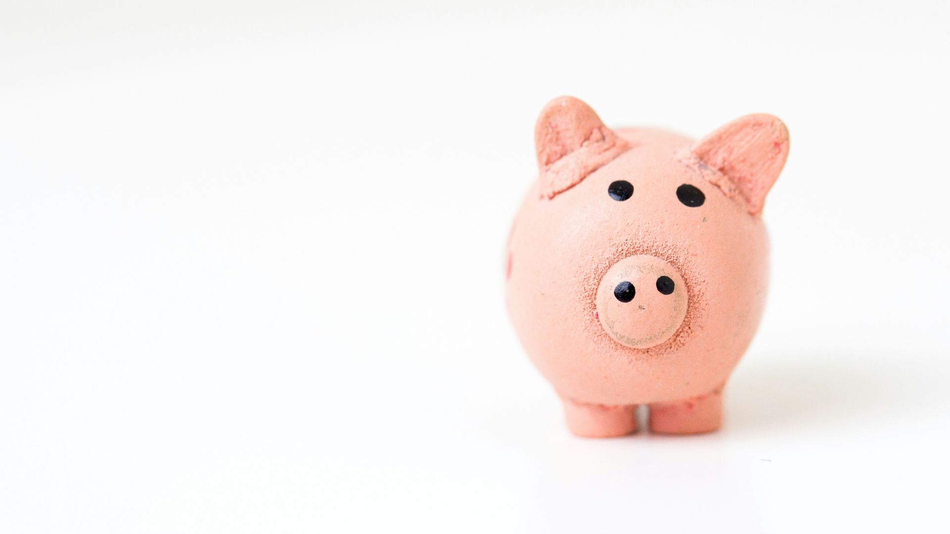 pink pig figurine on white surface