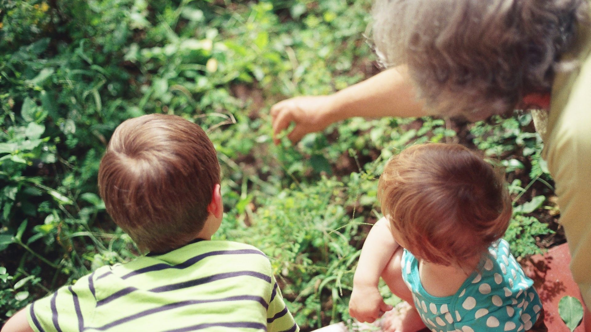 woman playing with two children in the woods